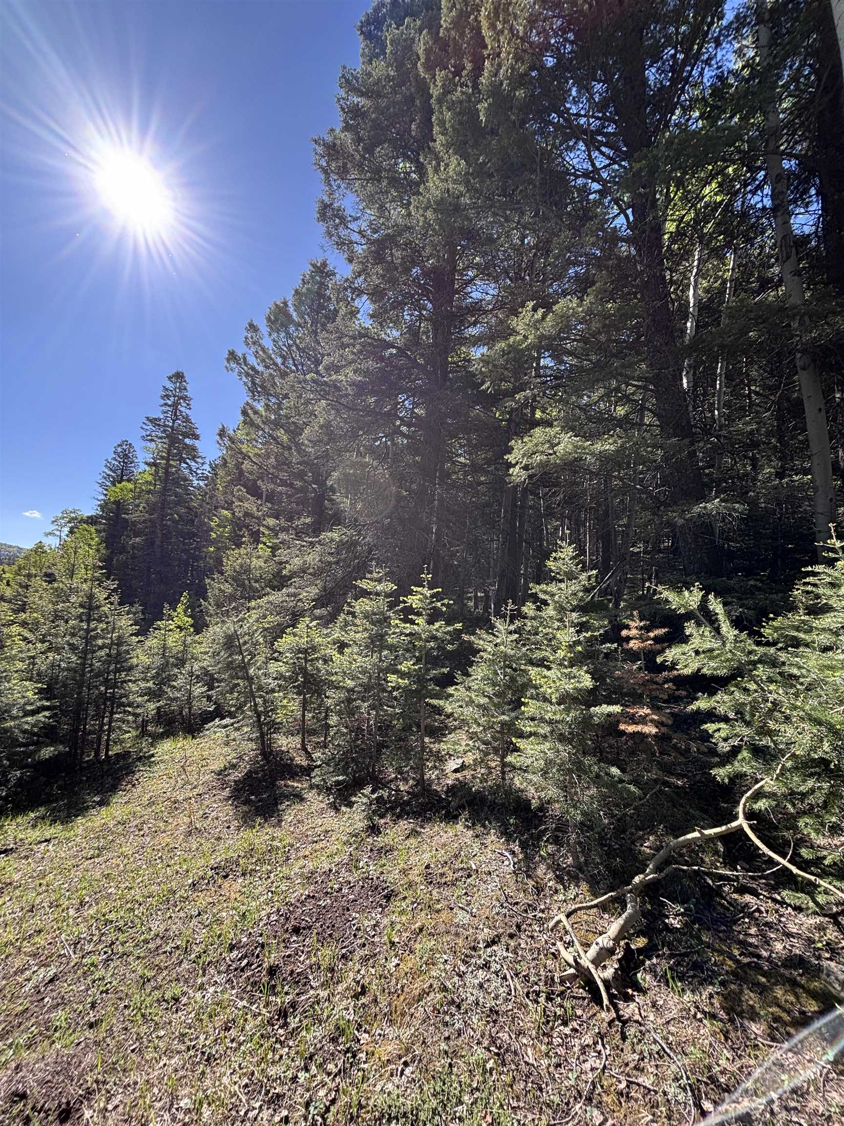 Lot 160 Back Basin Rd #20, Angel Fire, Texas image 2