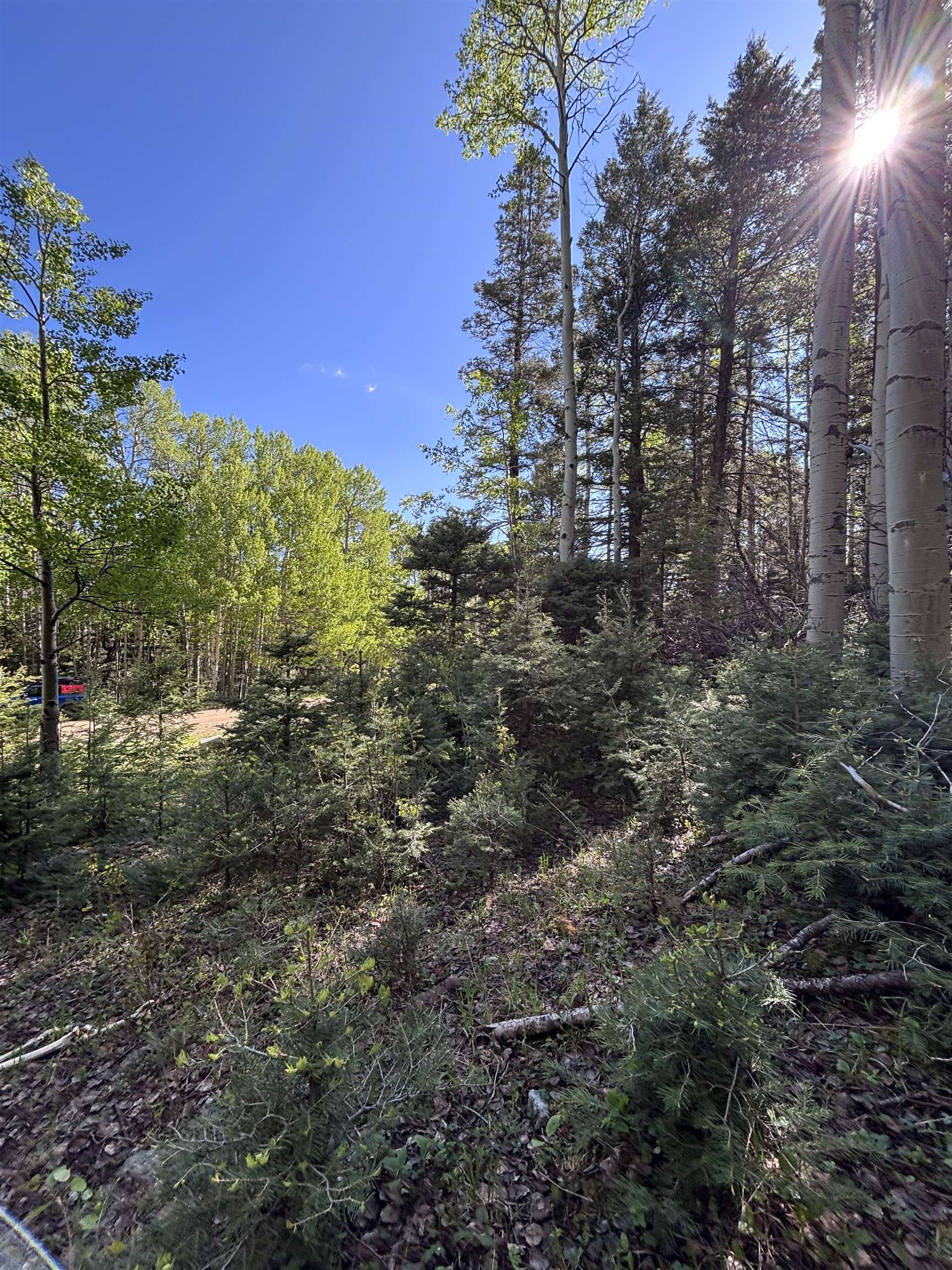 Lot 160 Back Basin Rd #20, Angel Fire, Texas image 8