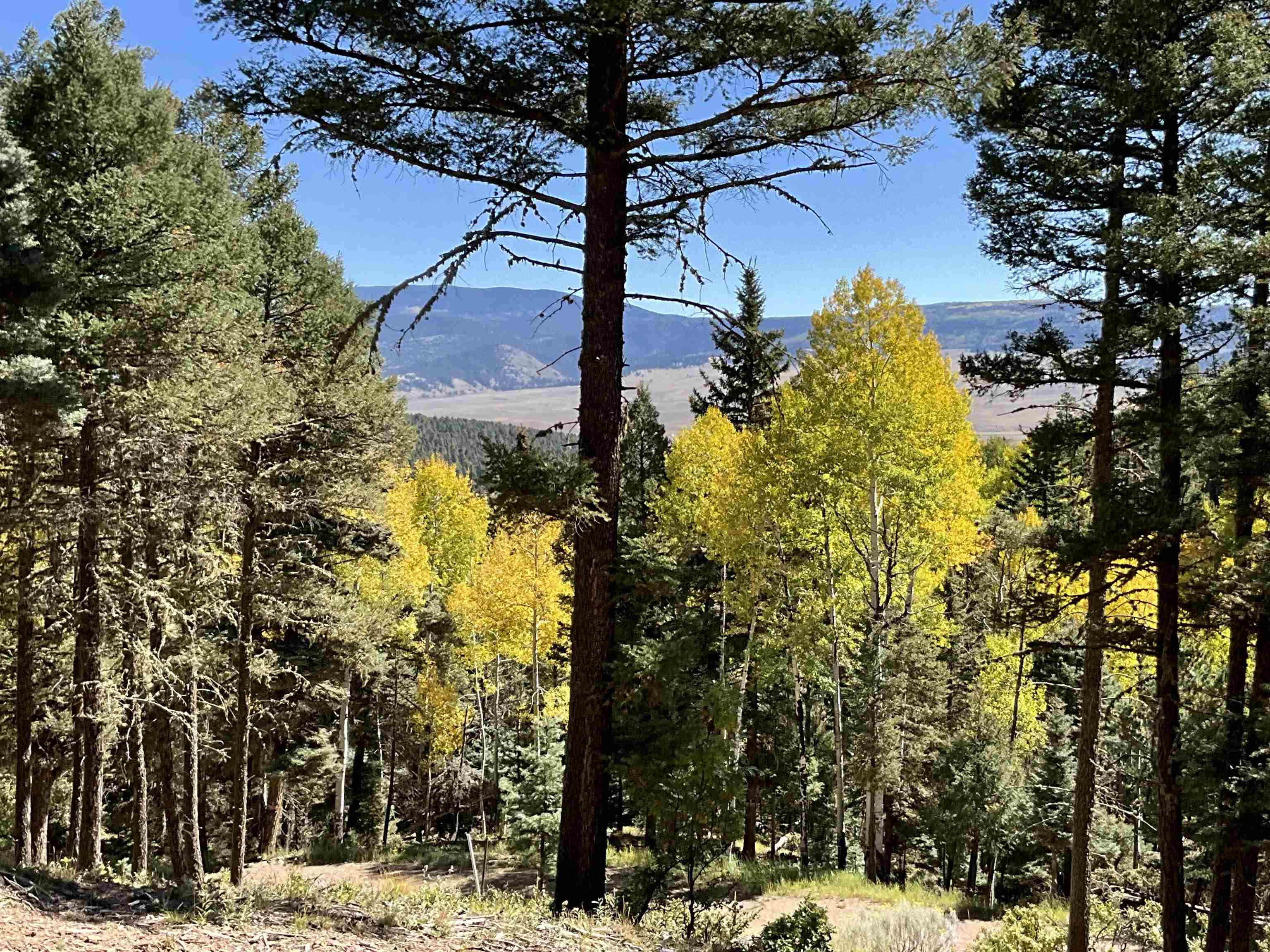 160 Taos Pines Ranch Road, Angel Fire, New Mexico image 50