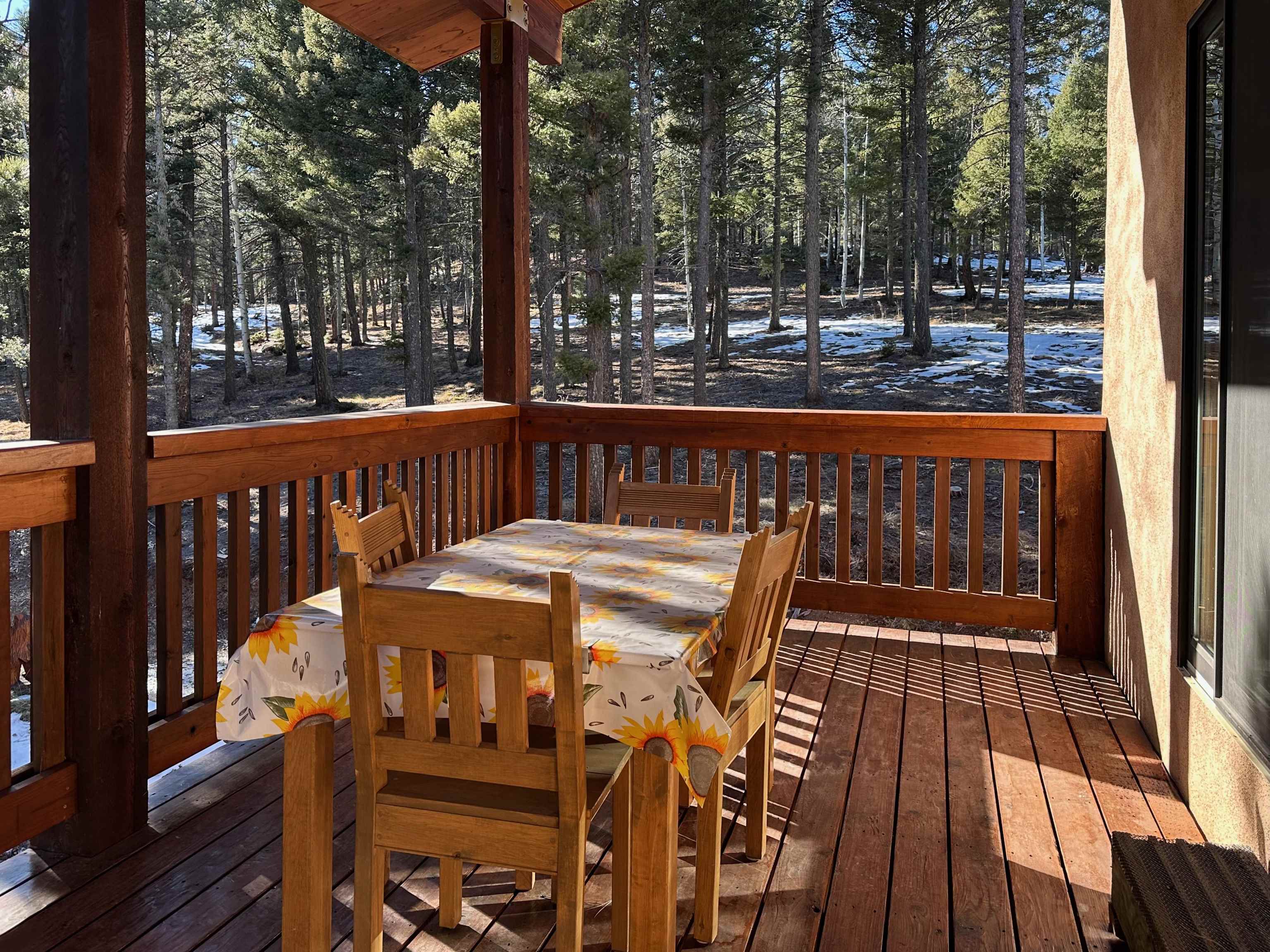 160 Taos Pines Ranch Road, Angel Fire, New Mexico image 19