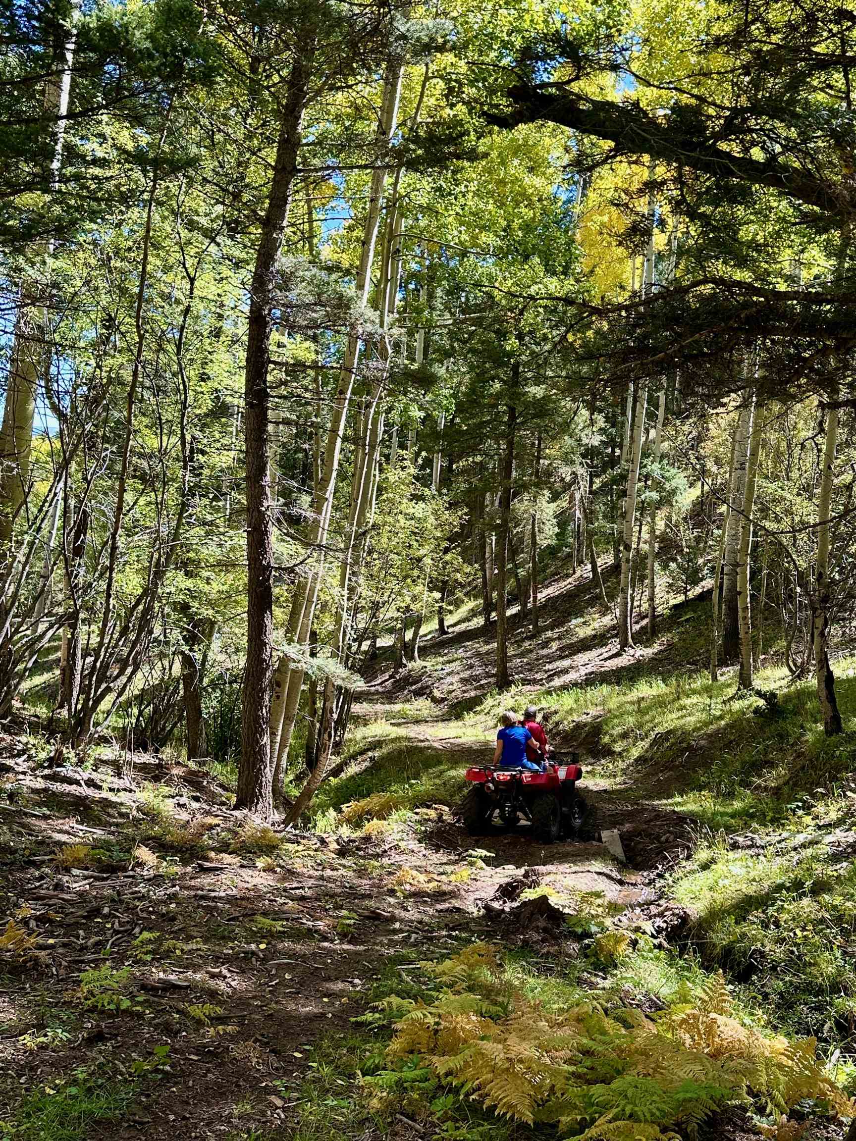 160 Taos Pines Ranch Road, Angel Fire, New Mexico image 46