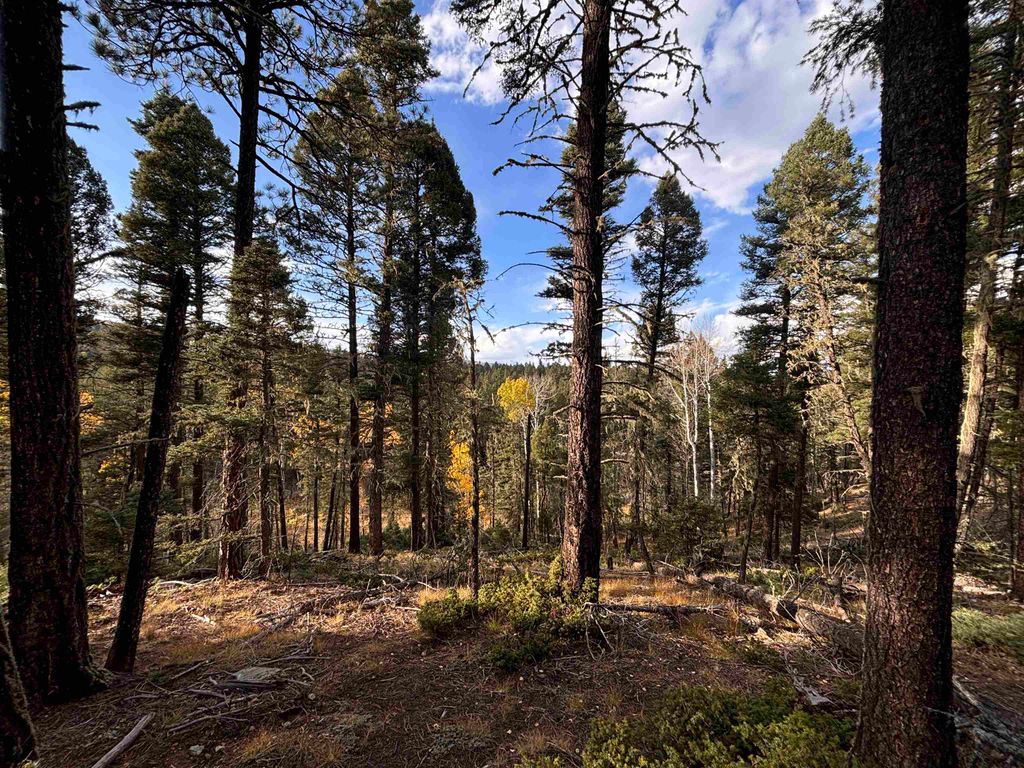 Photo of Lot 11 Lakewood Way, Angel Fire, NM 87710 (MLS # 113147)