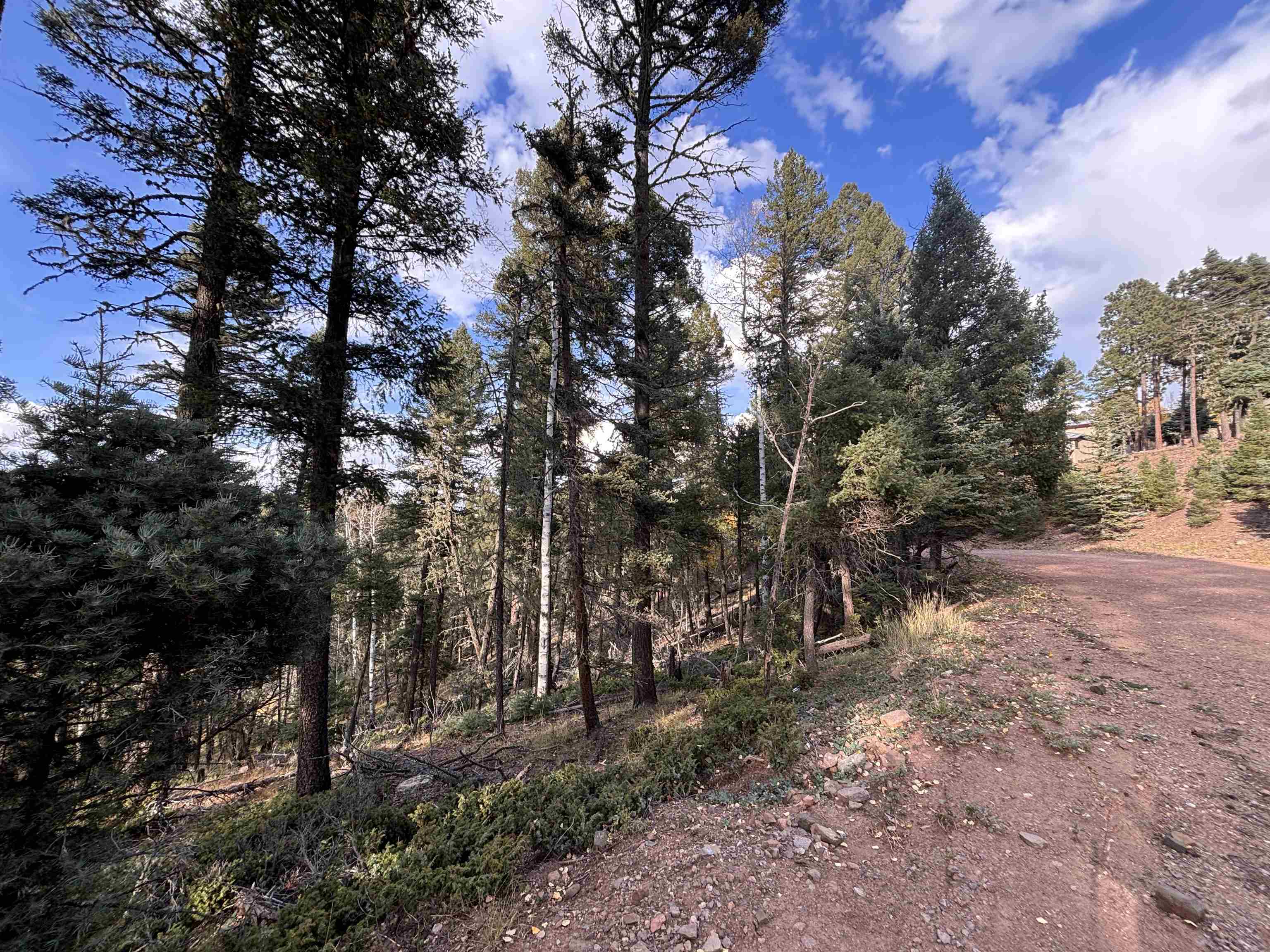 Lot 11 Lakewood Way, Angel Fire, New Mexico image 4