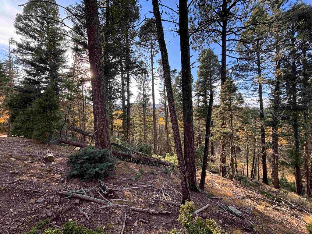 Photo of Lot 11 Lakewood Way, Angel Fire, NM 87710 (MLS # 113147)