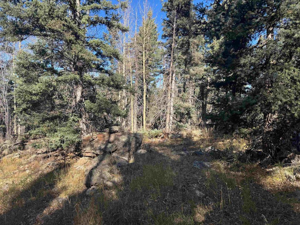 Photo of Lot 1227 Rainbow Overlook, Angel Fire, NM 87710 (MLS # 114173)