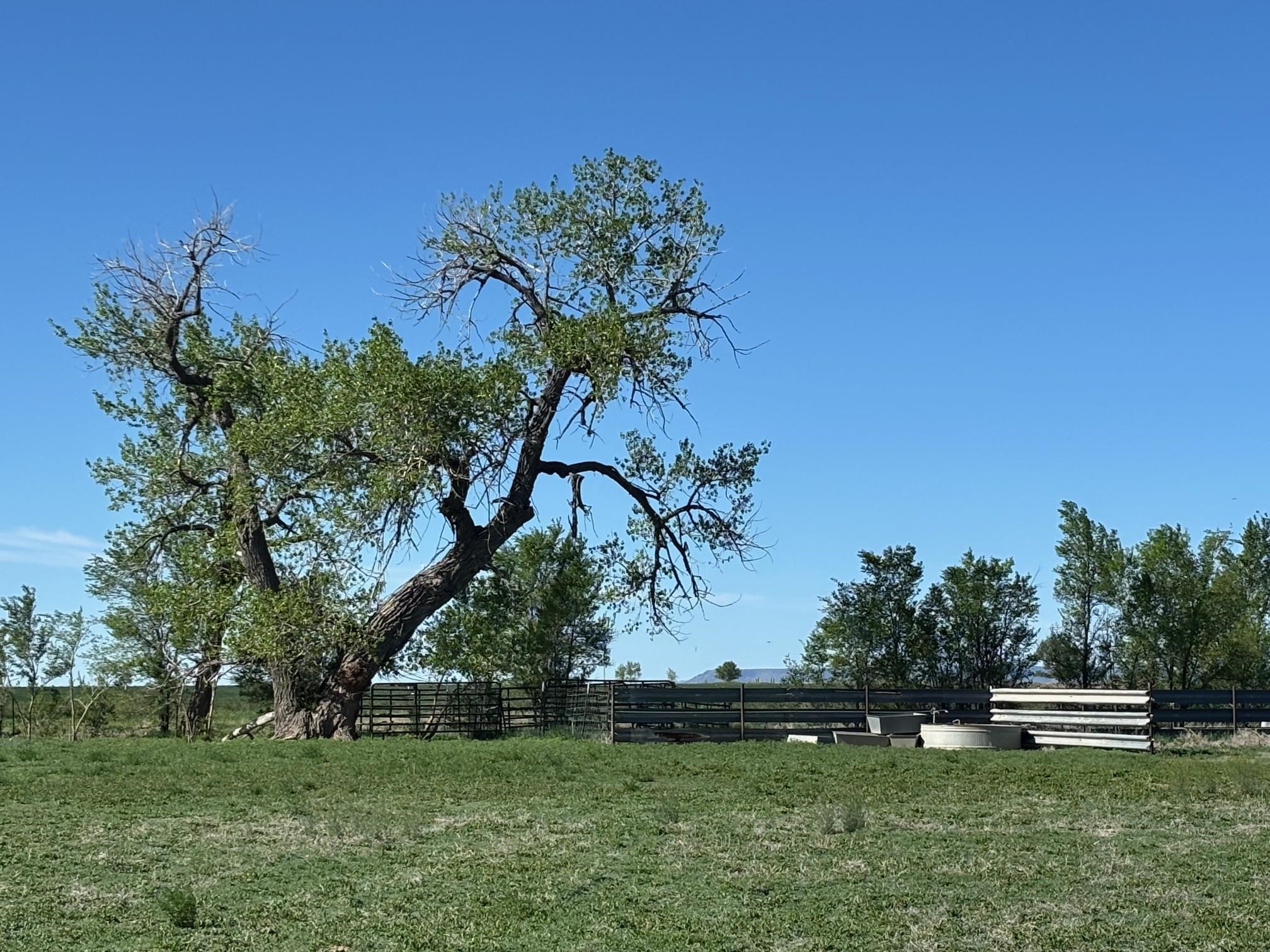 867 Laguna Madre Rd A1 Rd, Maxwell, New Mexico image 24