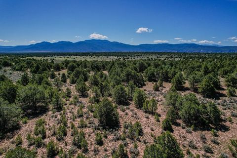 Photo of B 2 Comanche Trail, Carson, NM 87517 (MLS # 113673)
