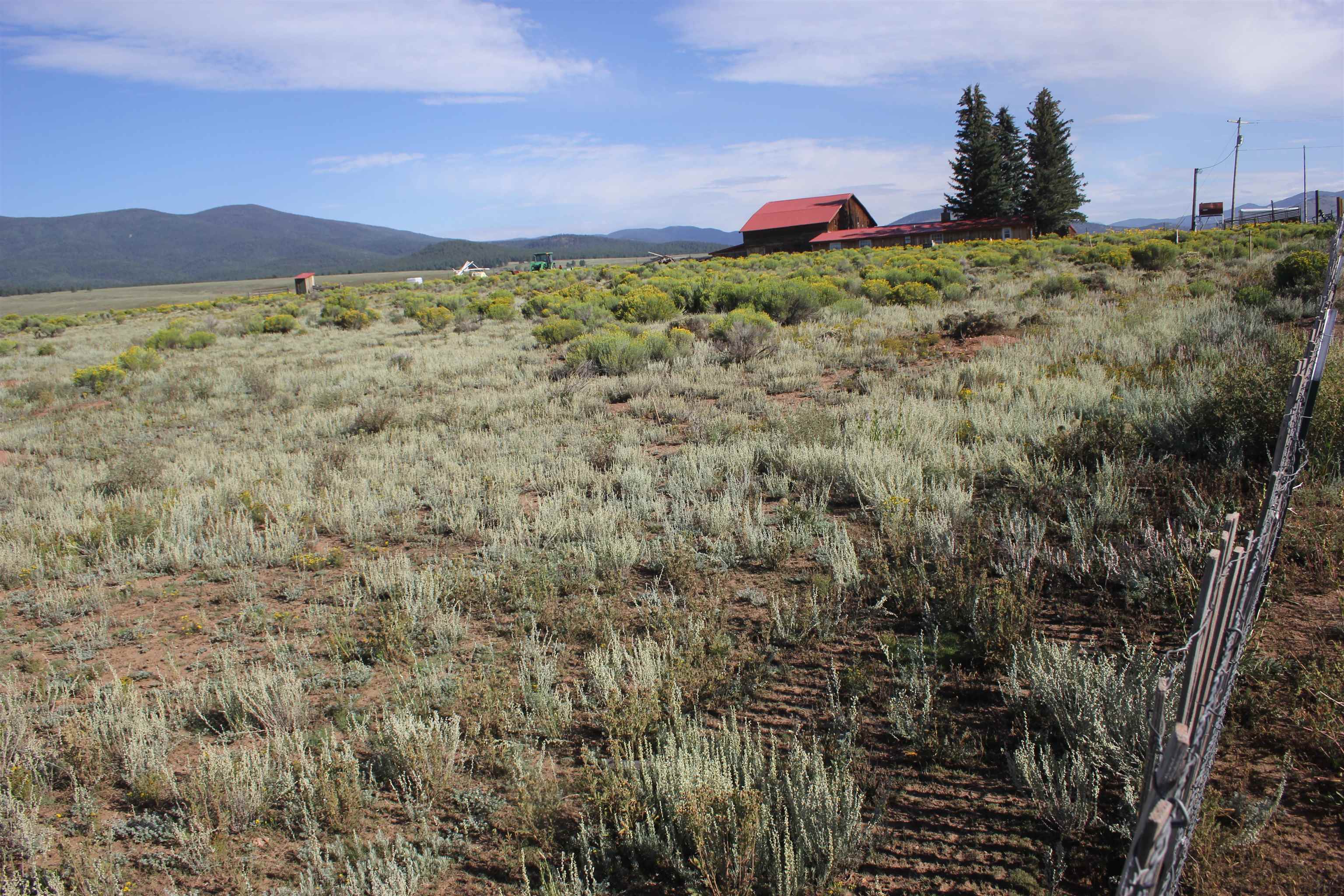 TBD Daisy Lane, Eagle Nest, New Mexico image 8