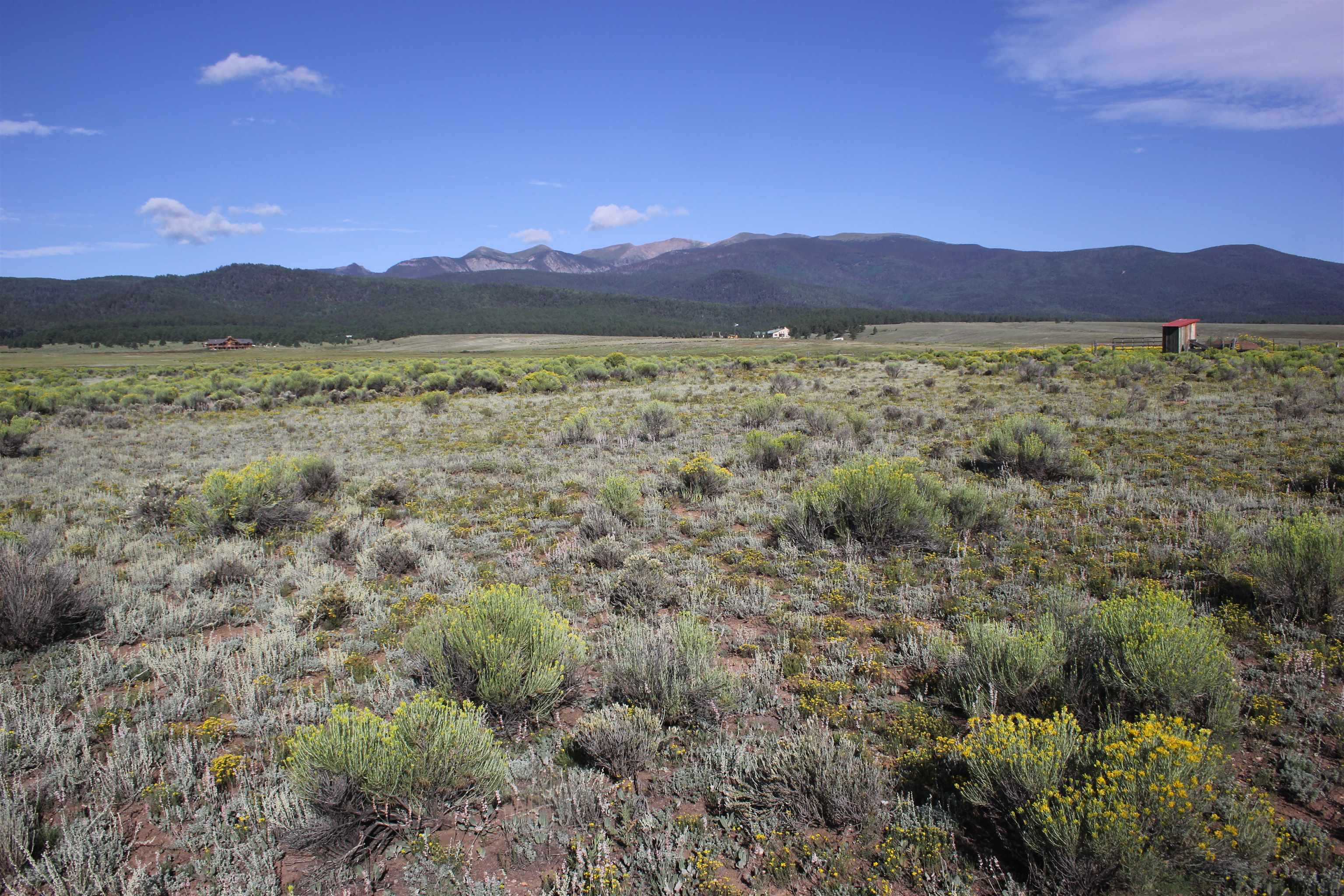 TBD Daisy Lane, Eagle Nest, New Mexico image 10