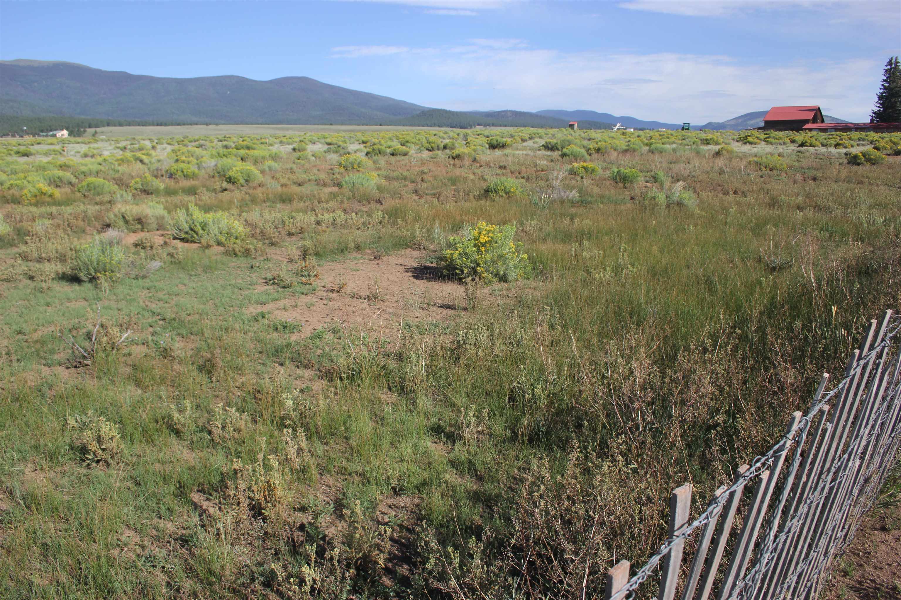 TBD Daisy Lane, Eagle Nest, New Mexico image 4