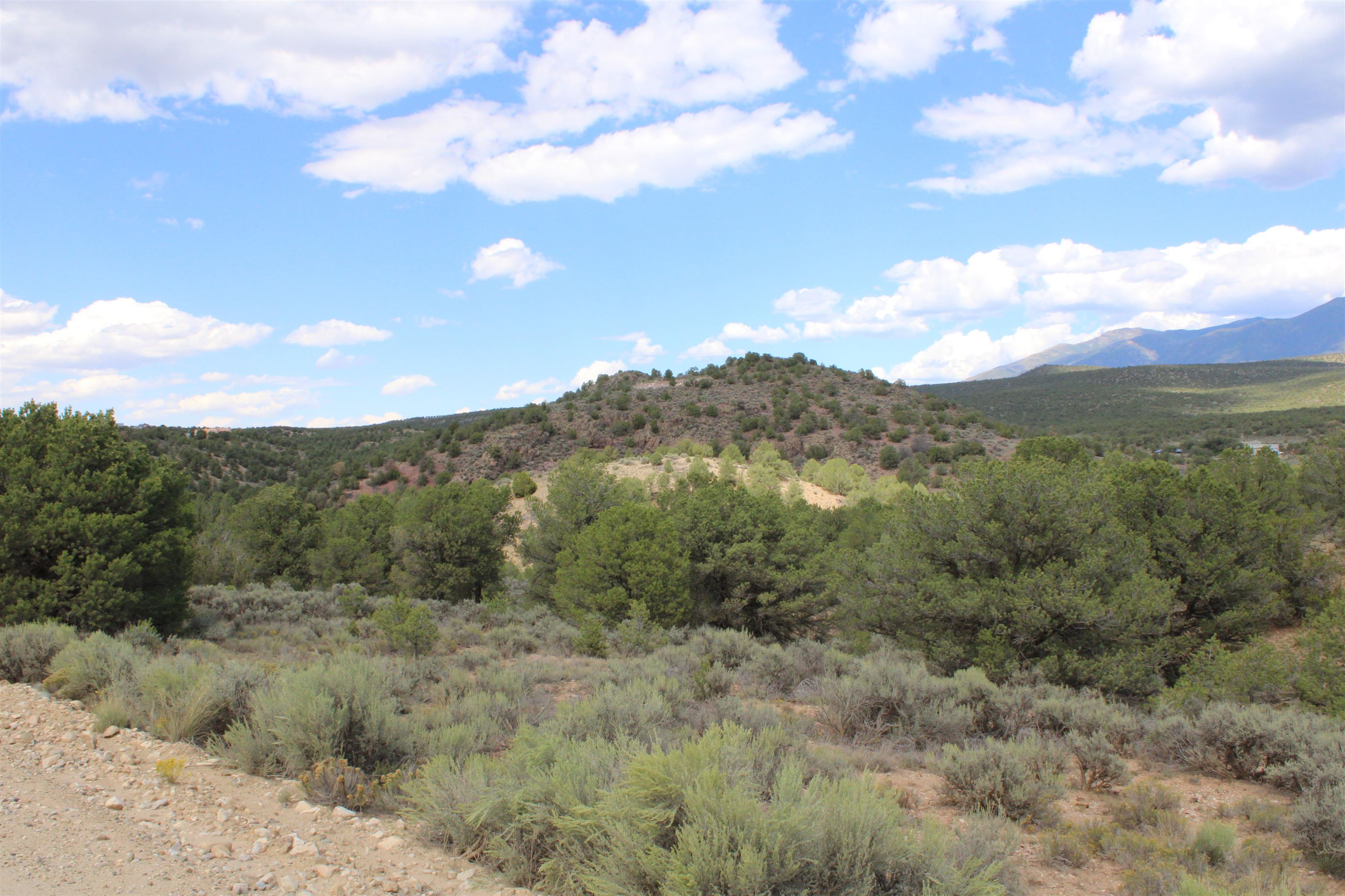 Tract 11 Trementina, Arroyo Hondo, New Mexico image 13