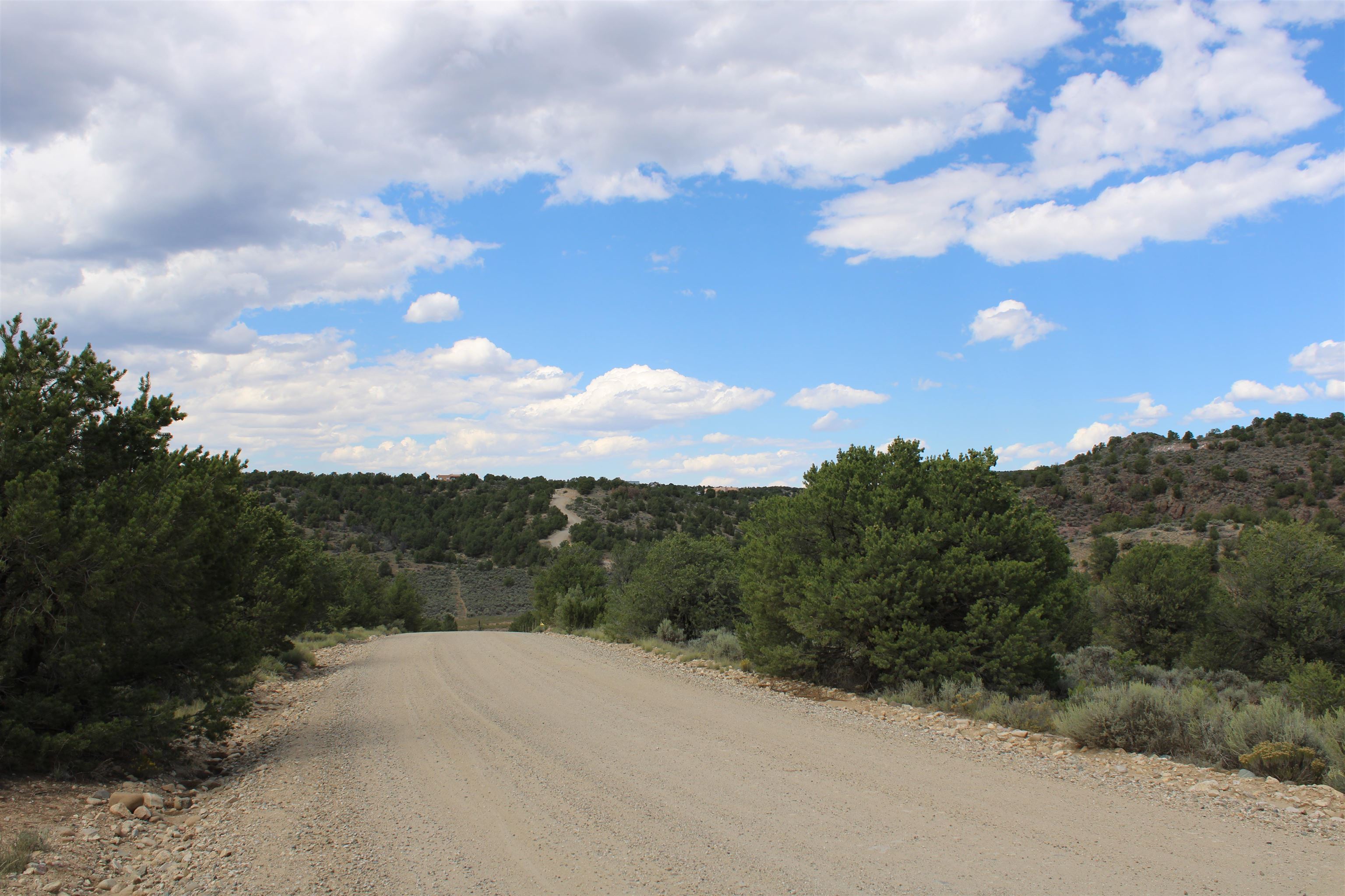 Tract 11 Trementina, Arroyo Hondo, New Mexico image 16