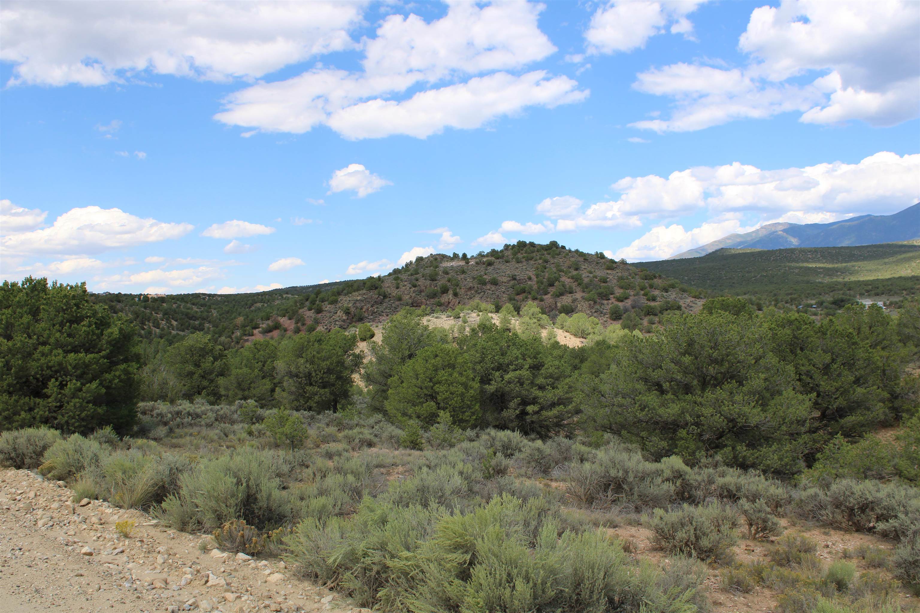 Tract 11 Trementina, Arroyo Hondo, New Mexico image 12