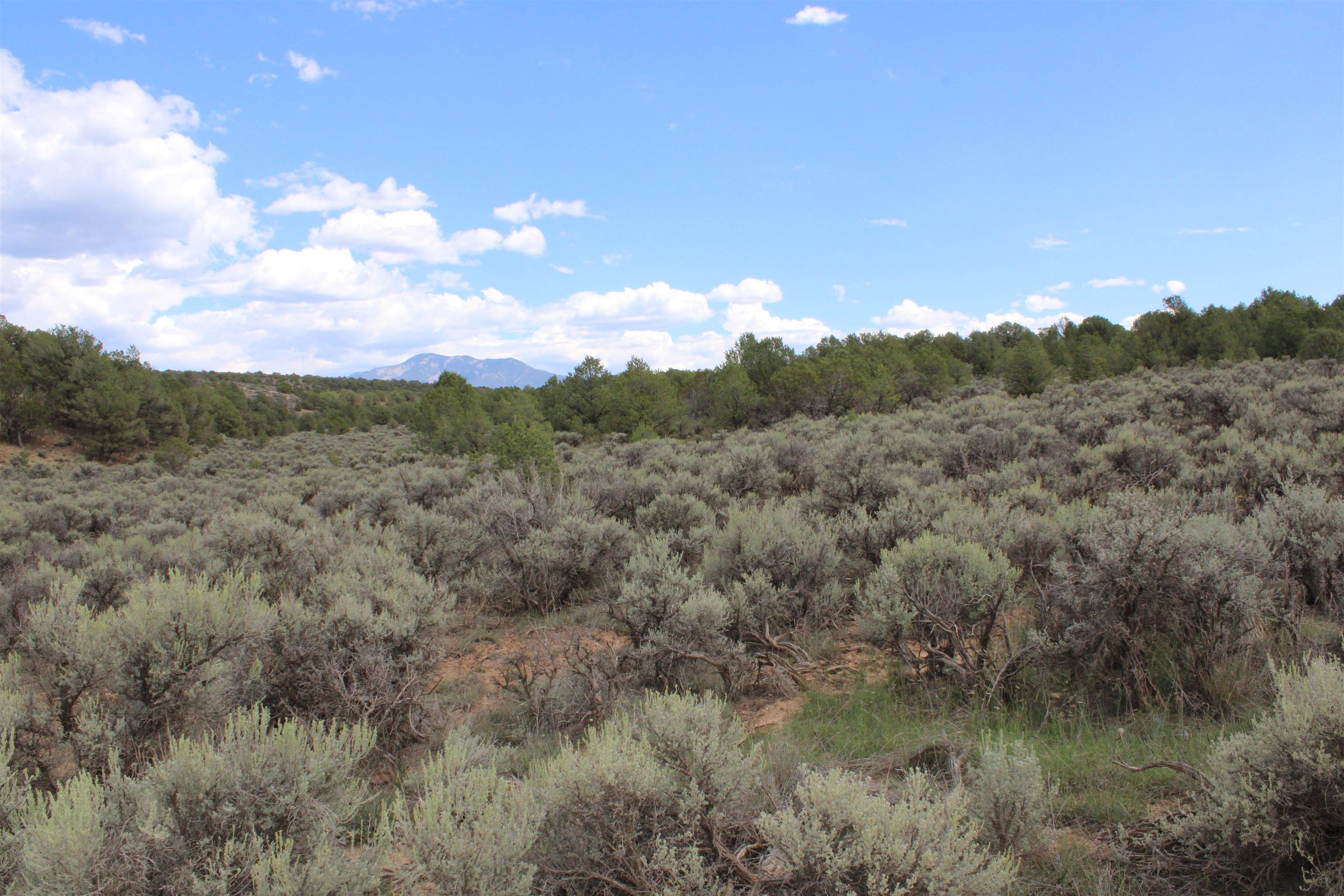 Tract 11 Trementina, Arroyo Hondo, New Mexico image 6