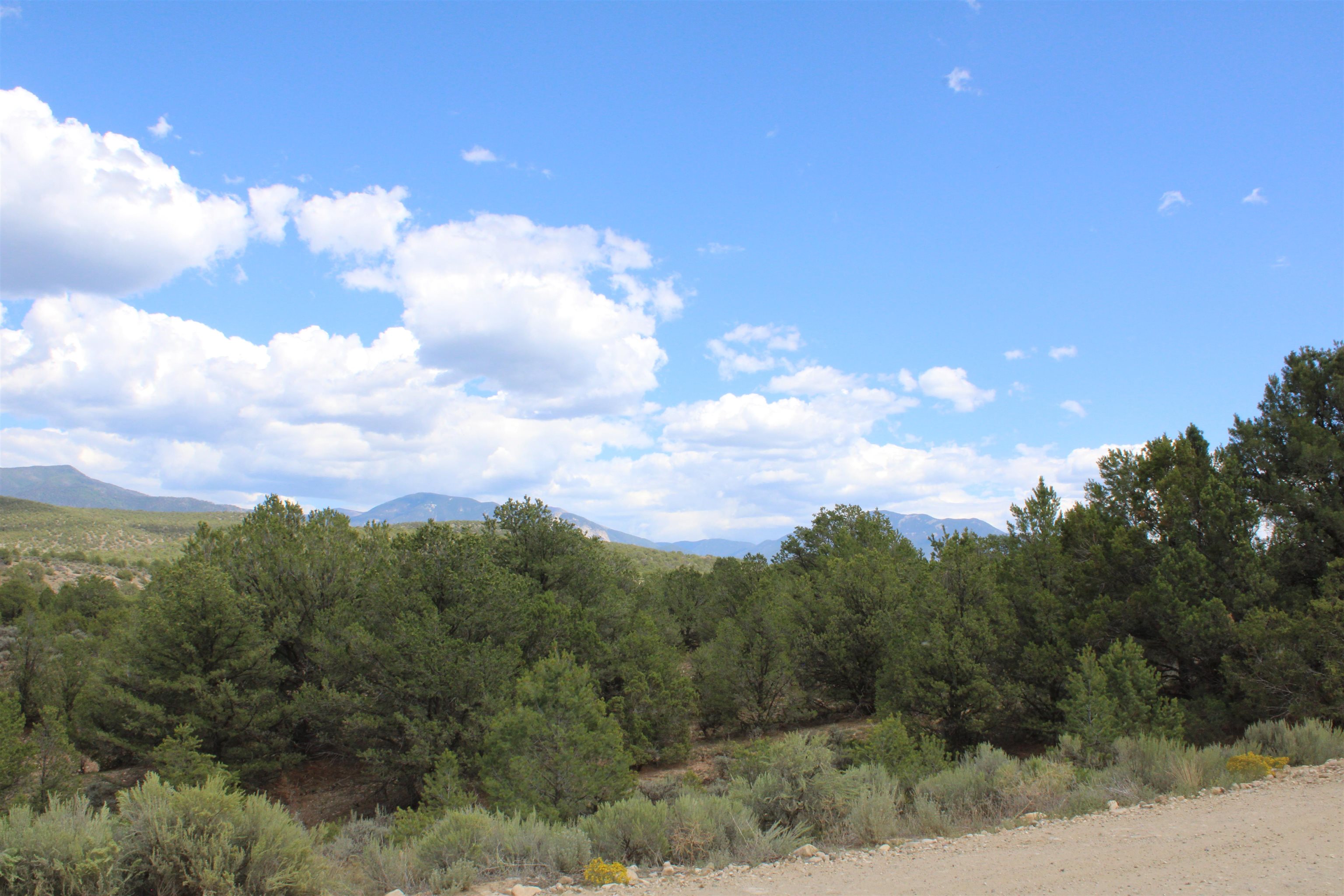 Tract 11 Trementina, Arroyo Hondo, New Mexico image 15