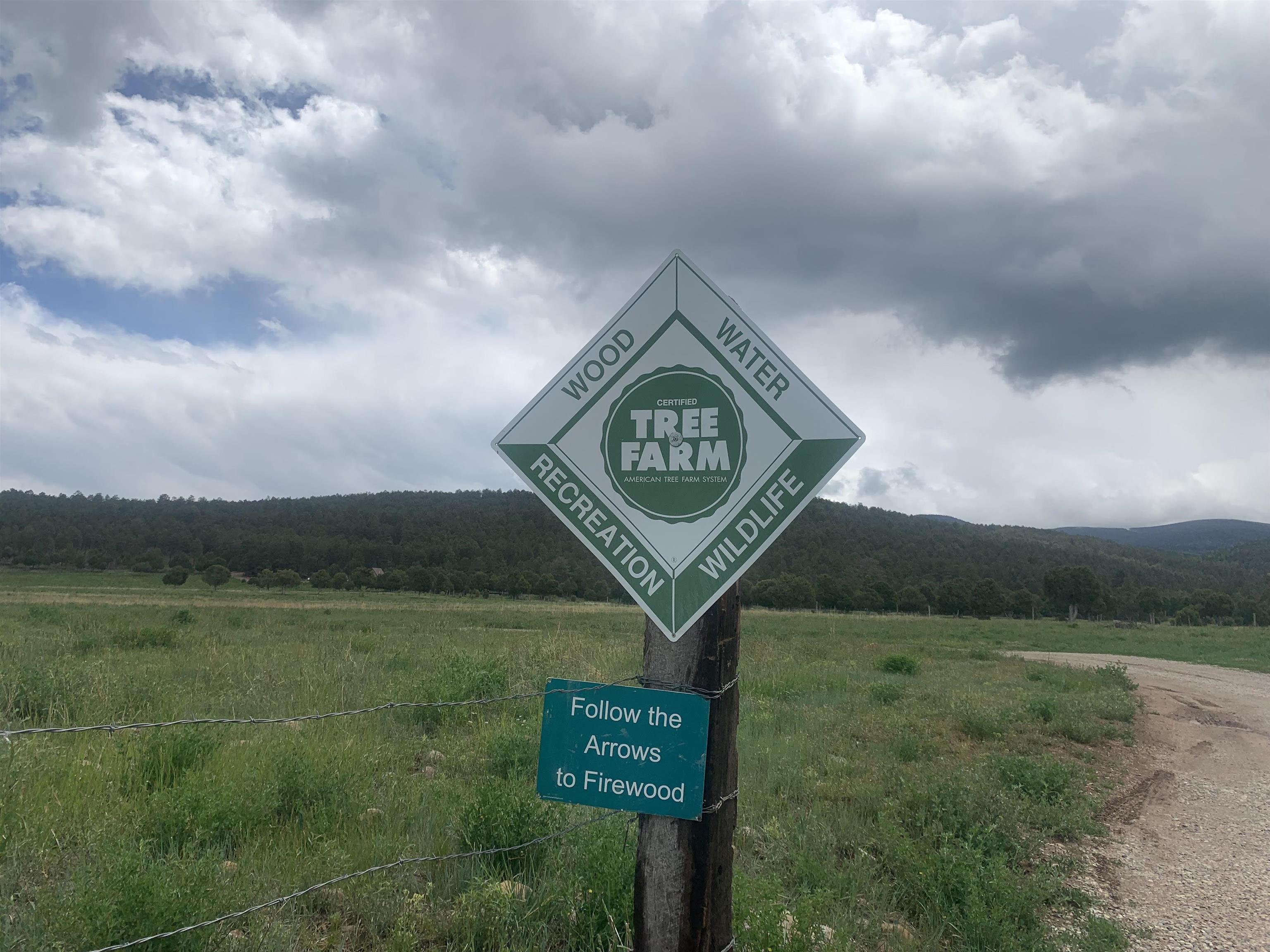 192 Llano De La Legua Rd, Vadito, New Mexico image 27