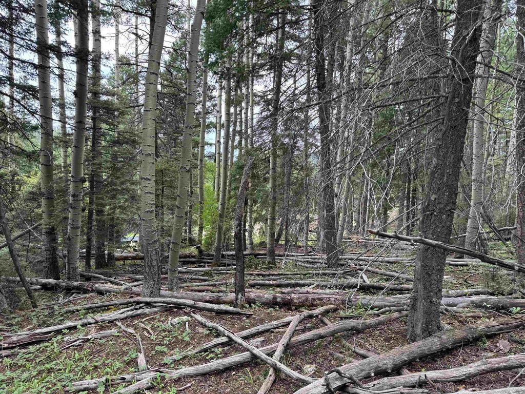 Photo of Lot 141 Back Basin Rd, Angel Fire, NM 87710 (MLS # 112146)