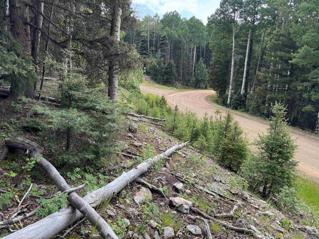 Photo of Lot 141 Back Basin Rd, Angel Fire, NM 87710 (MLS # 112146)