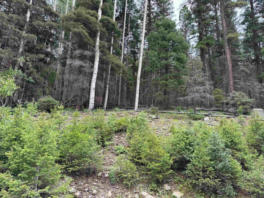 Photo of Lot 141 Back Basin Rd, Angel Fire, NM 87710 (MLS # 112146)