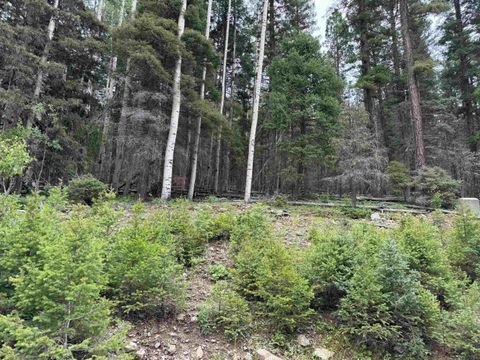 Photo of Lot 141 Back Basin Rd, Angel Fire, NM 87710 (MLS # 112146)
