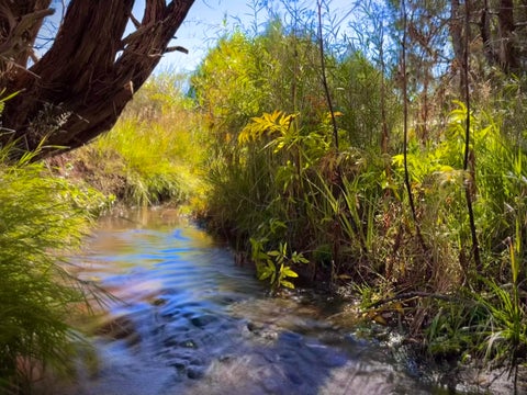 Vacant Land For Sale - 402 B Hondo Seco Rd<br/> Taos County, El Prado, NM 87514