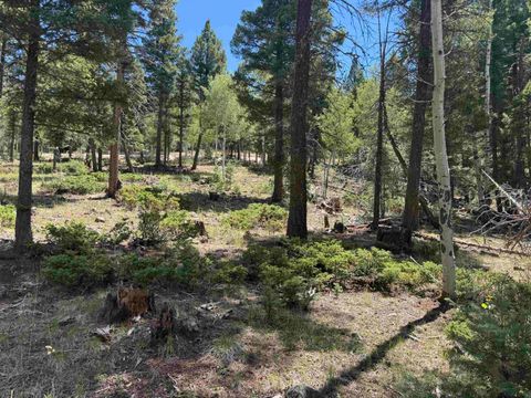 Vacant Land For Sale - LOT 561 El Camino Real<br/> Colfax County, Angel Fire, NM 87710