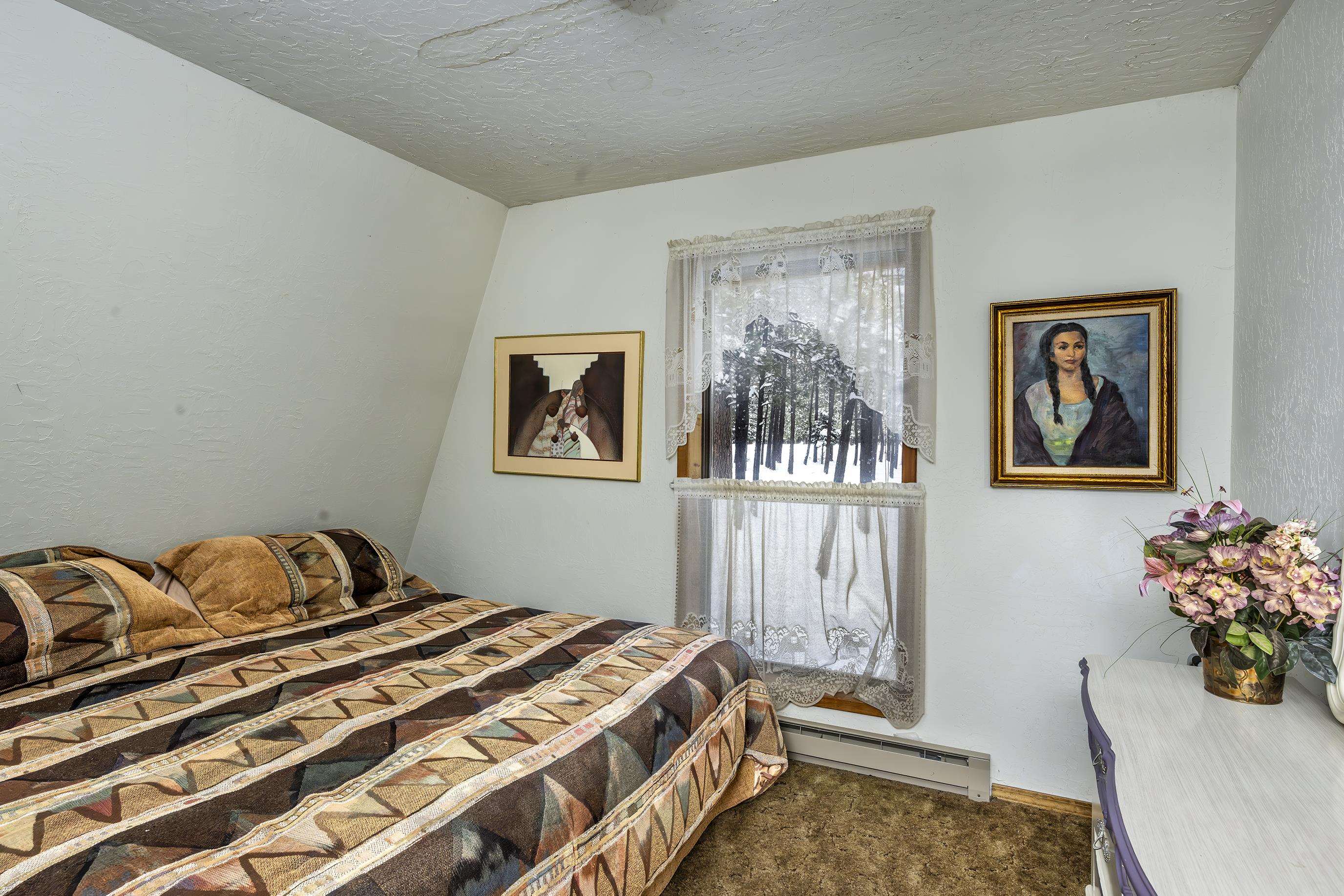 16 Calle De Zamora Cir, Angel Fire, New Mexico image 19