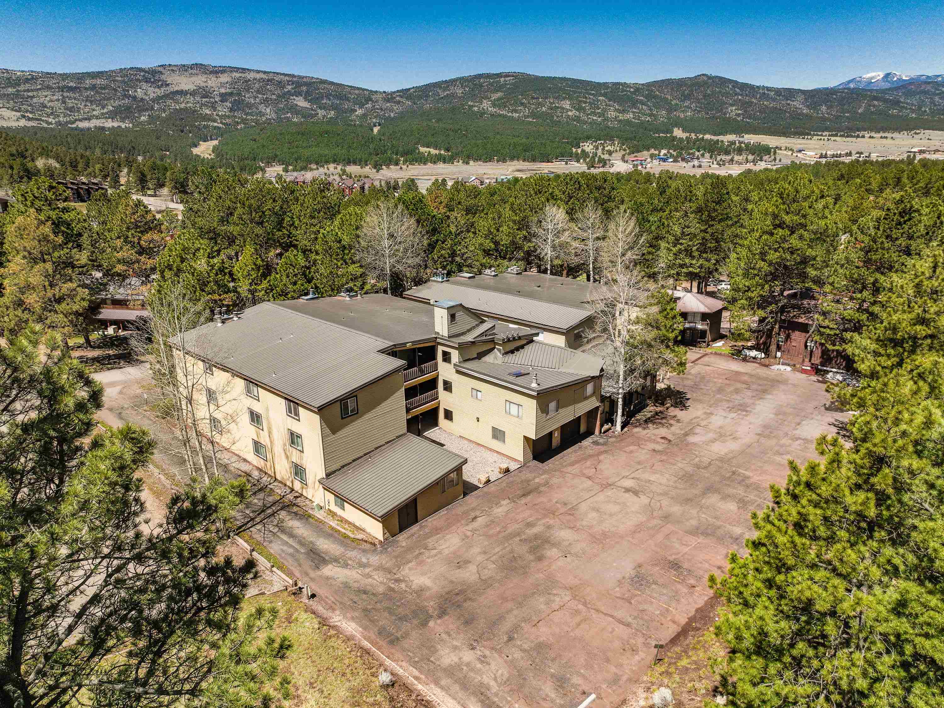 14 Jackson Hole Rd #A-104, Angel Fire, New Mexico image 5