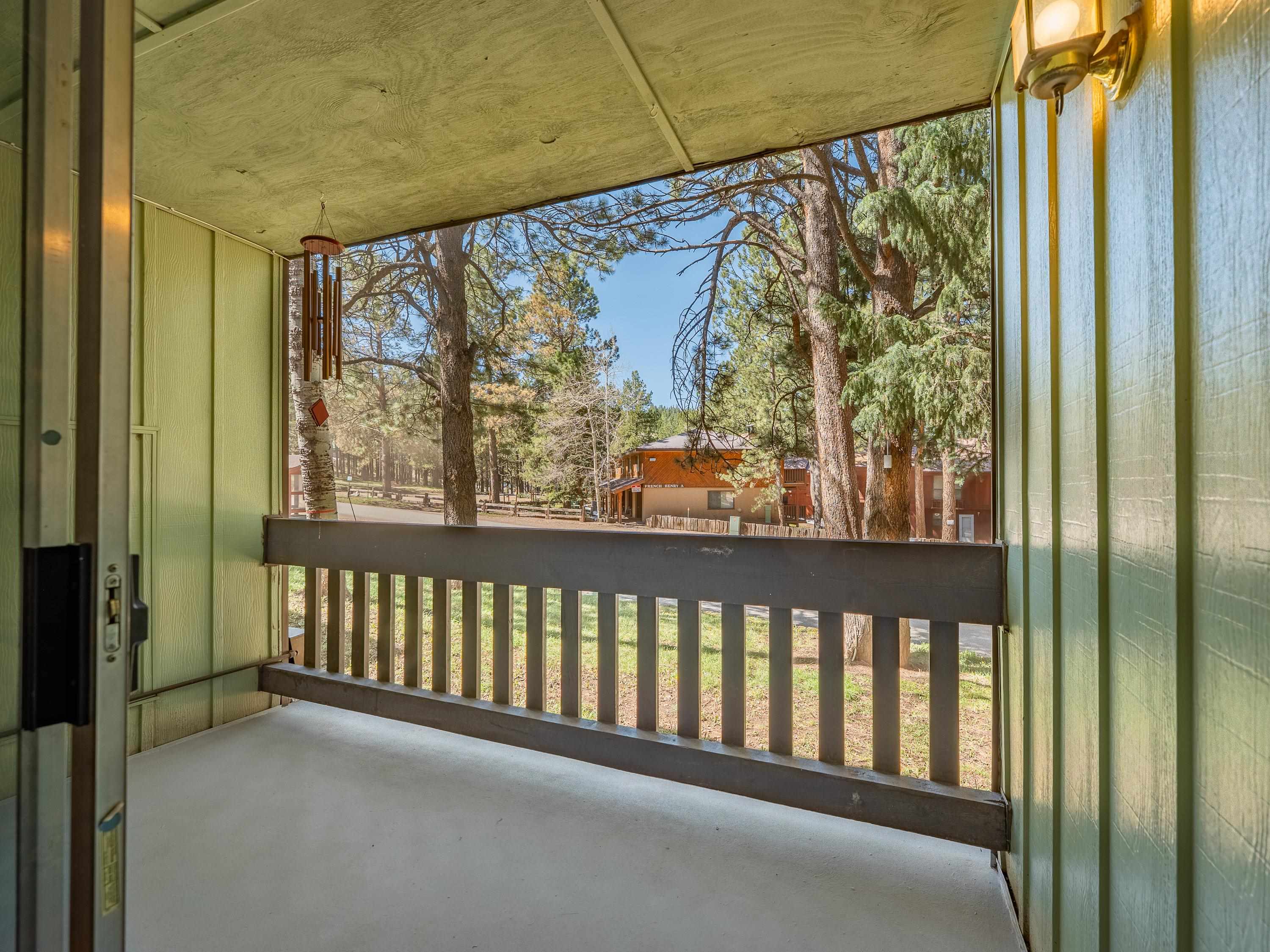 14 Jackson Hole Rd #A-104, Angel Fire, New Mexico image 15