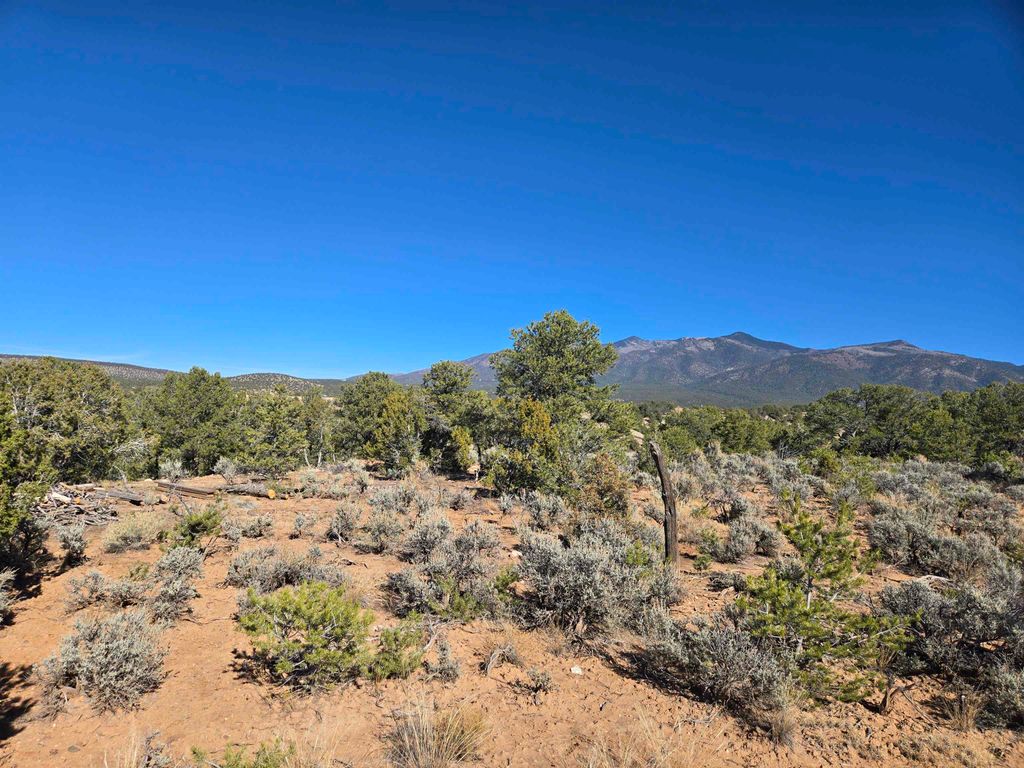 Photo of TBD Hondo Seco Road, El Prado, NM 87529 (MLS # 114265)