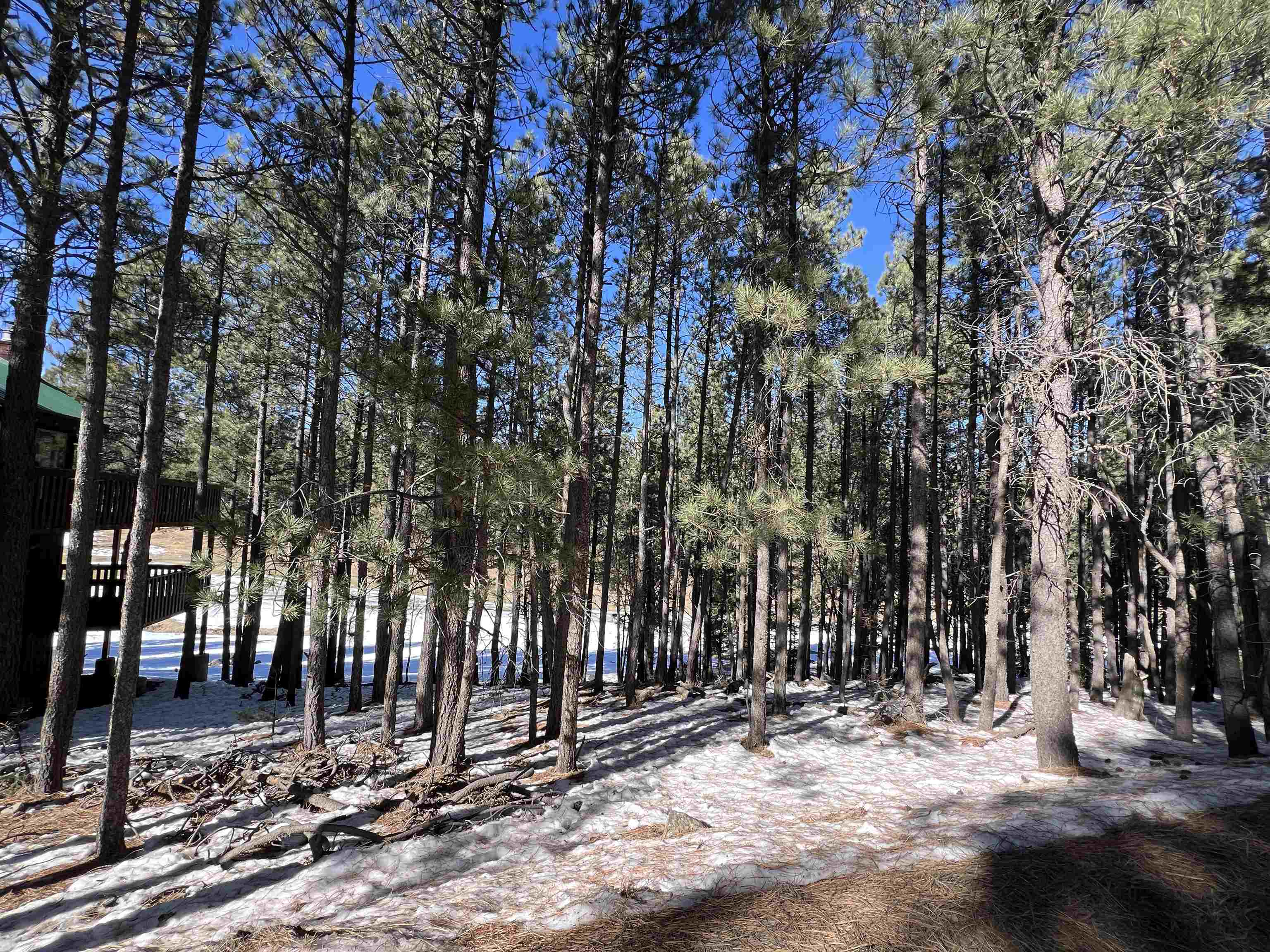 Lot 15 Champions Terrace, Angel Fire, New Mexico image 1