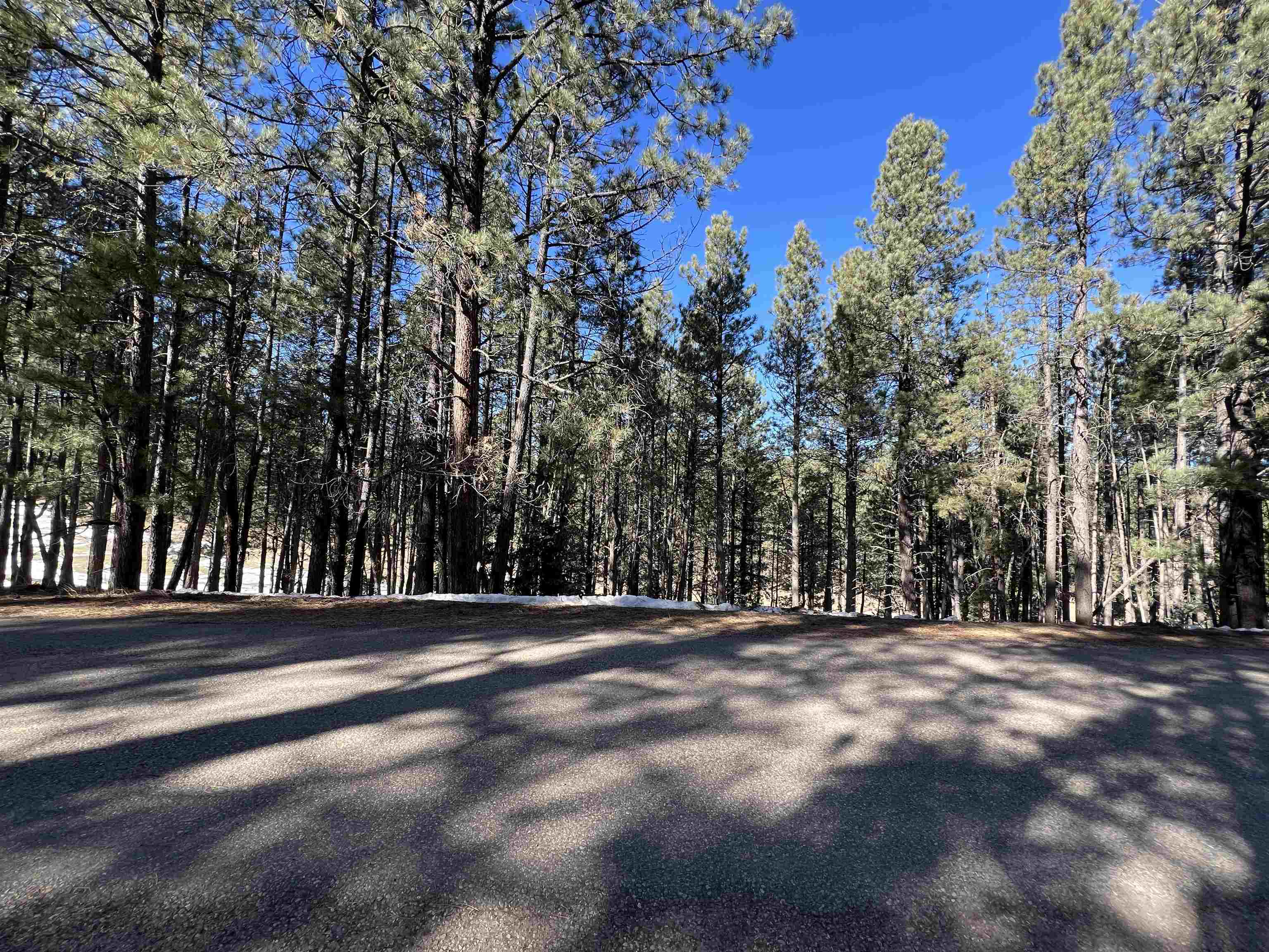 Lot 15 Champions Terrace, Angel Fire, New Mexico image 2