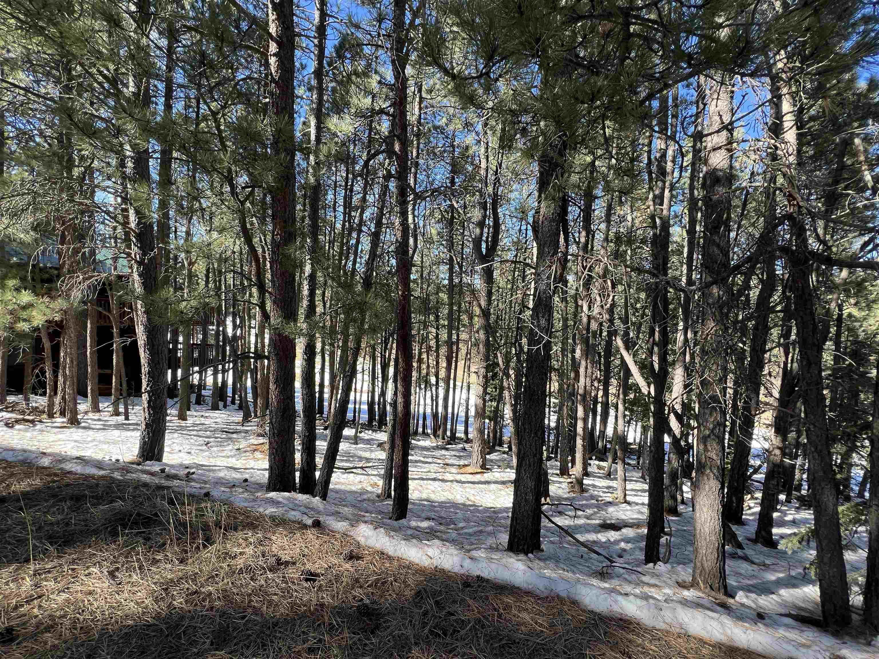 Lot 15 Champions Terrace, Angel Fire, New Mexico image 4