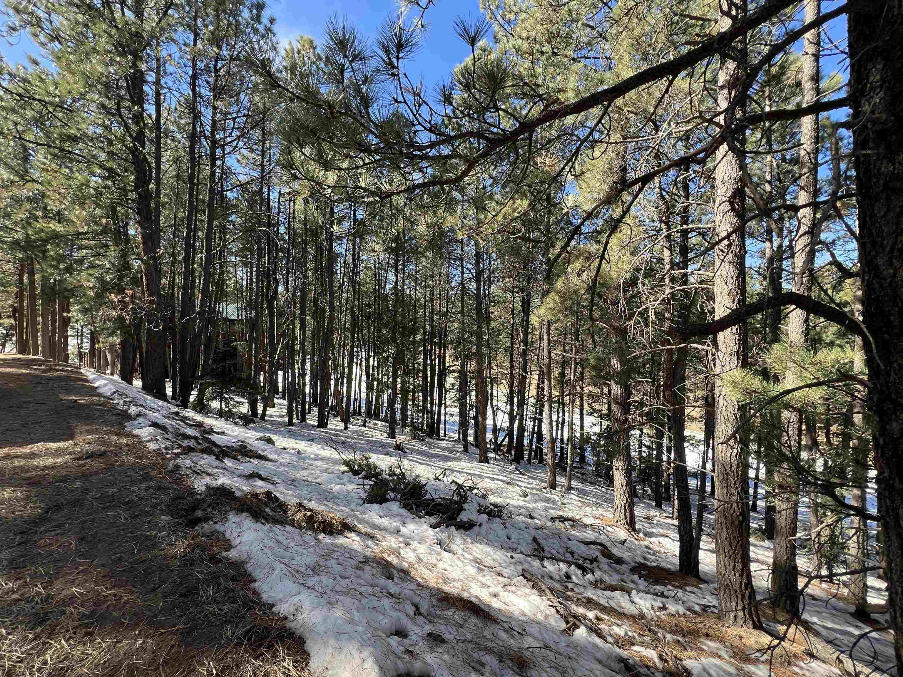 Lot 15 Champions Terrace, Angel Fire, New Mexico image 3