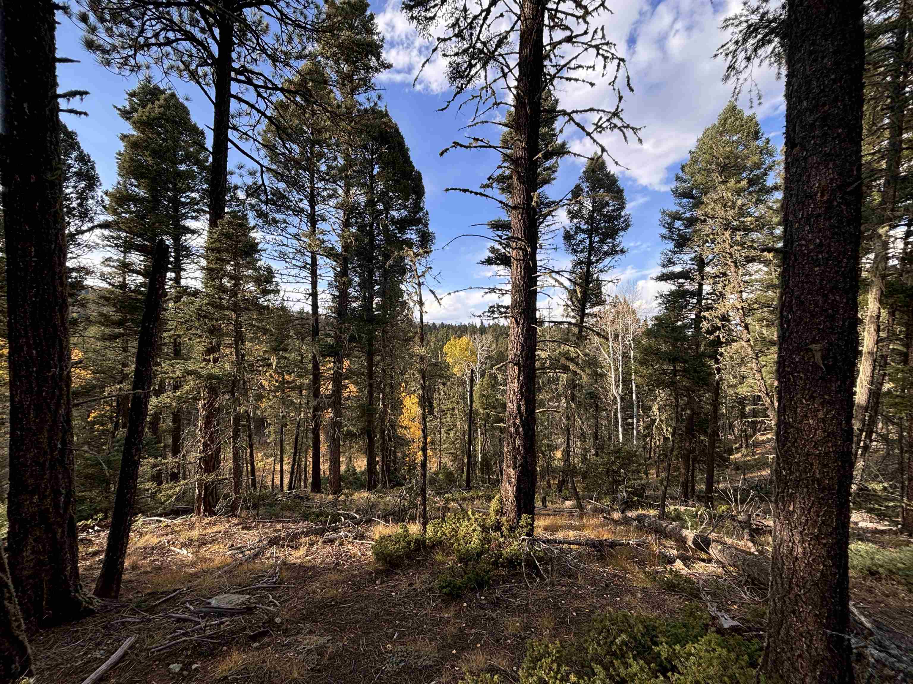 Lot 11 Lakewood Way, Angel Fire, New Mexico image 1