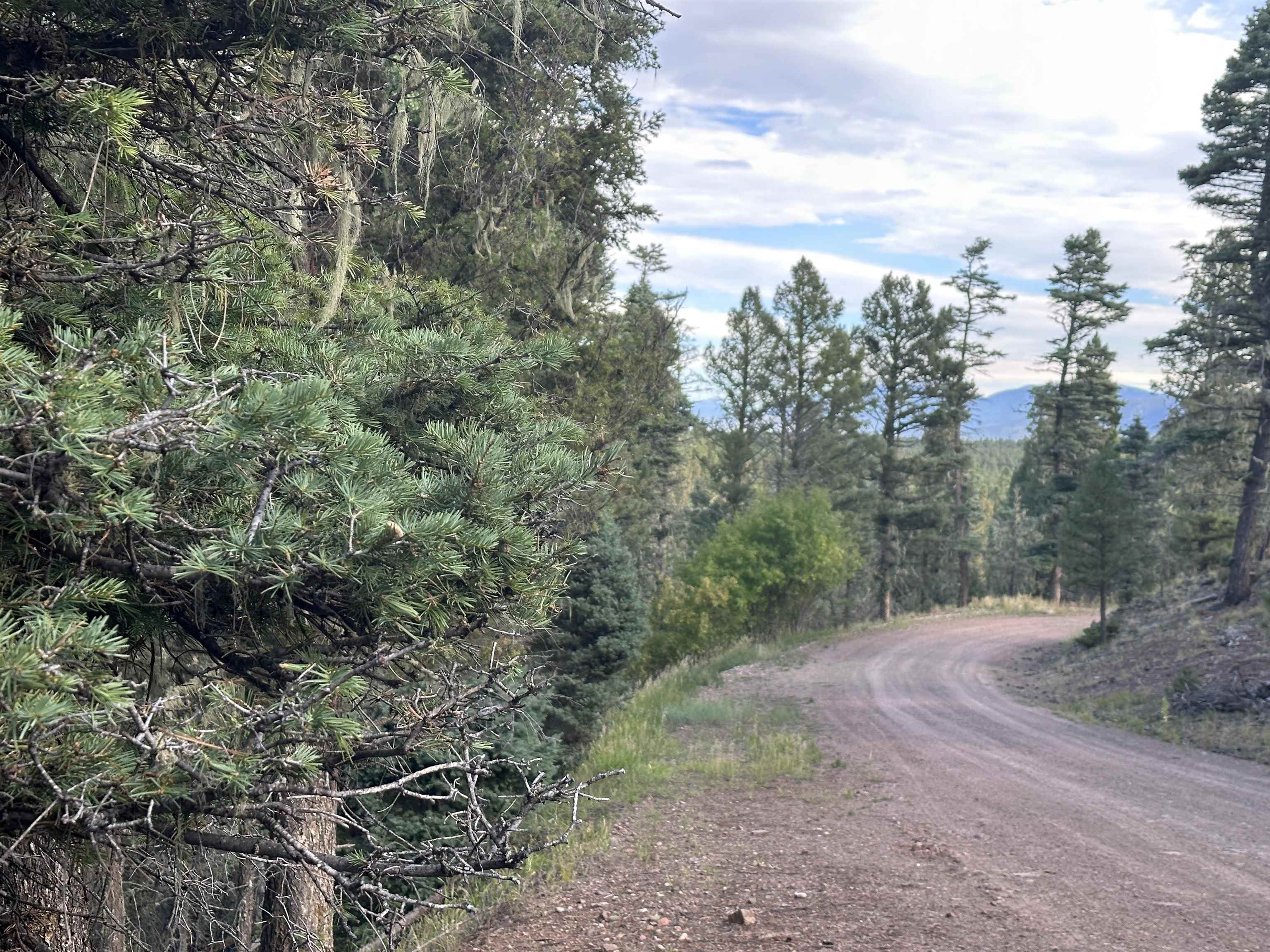 Lot 11 Lakewood Way, Angel Fire, New Mexico image 6