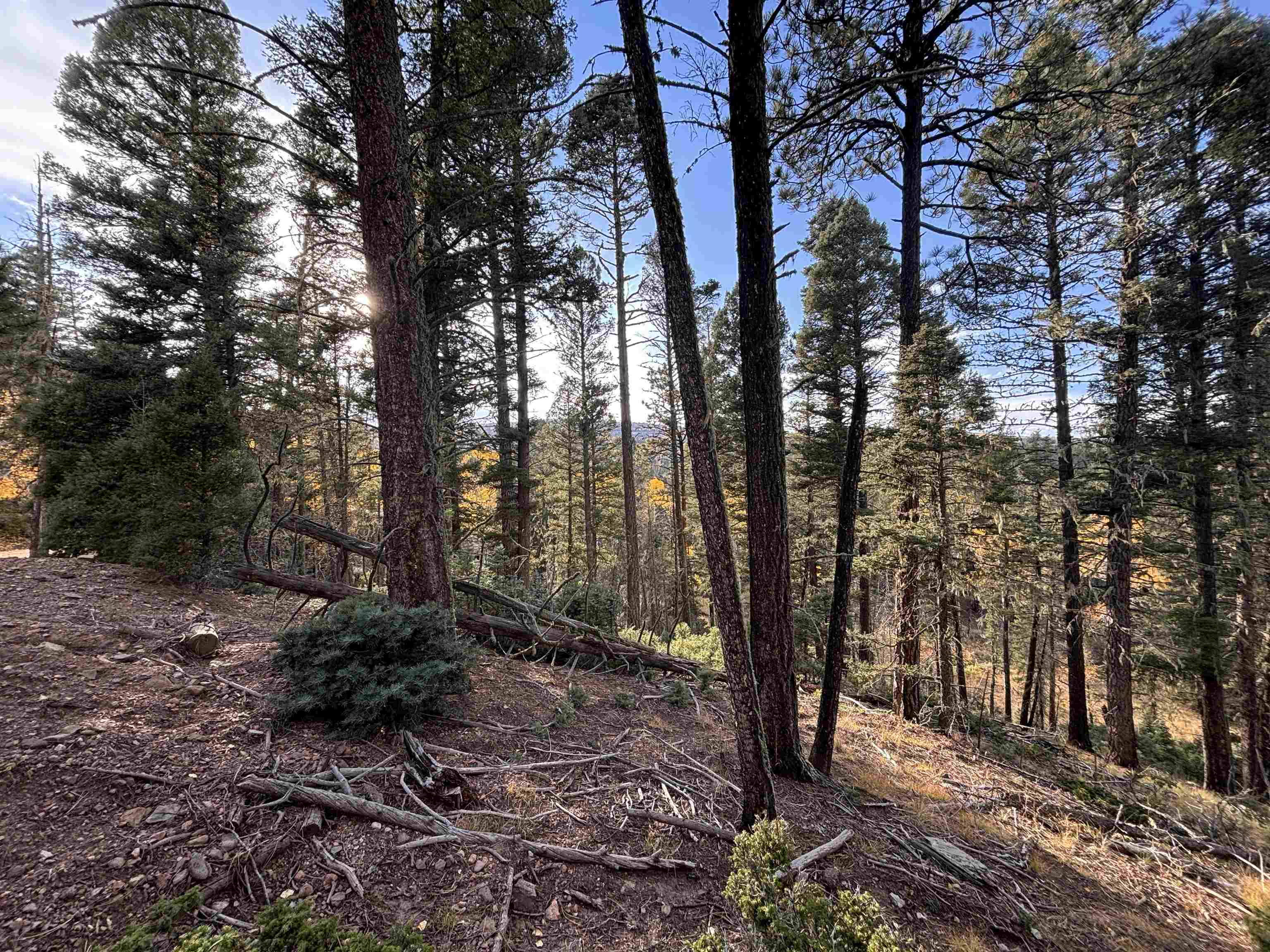 Lot 11 Lakewood Way, Angel Fire, New Mexico image 3