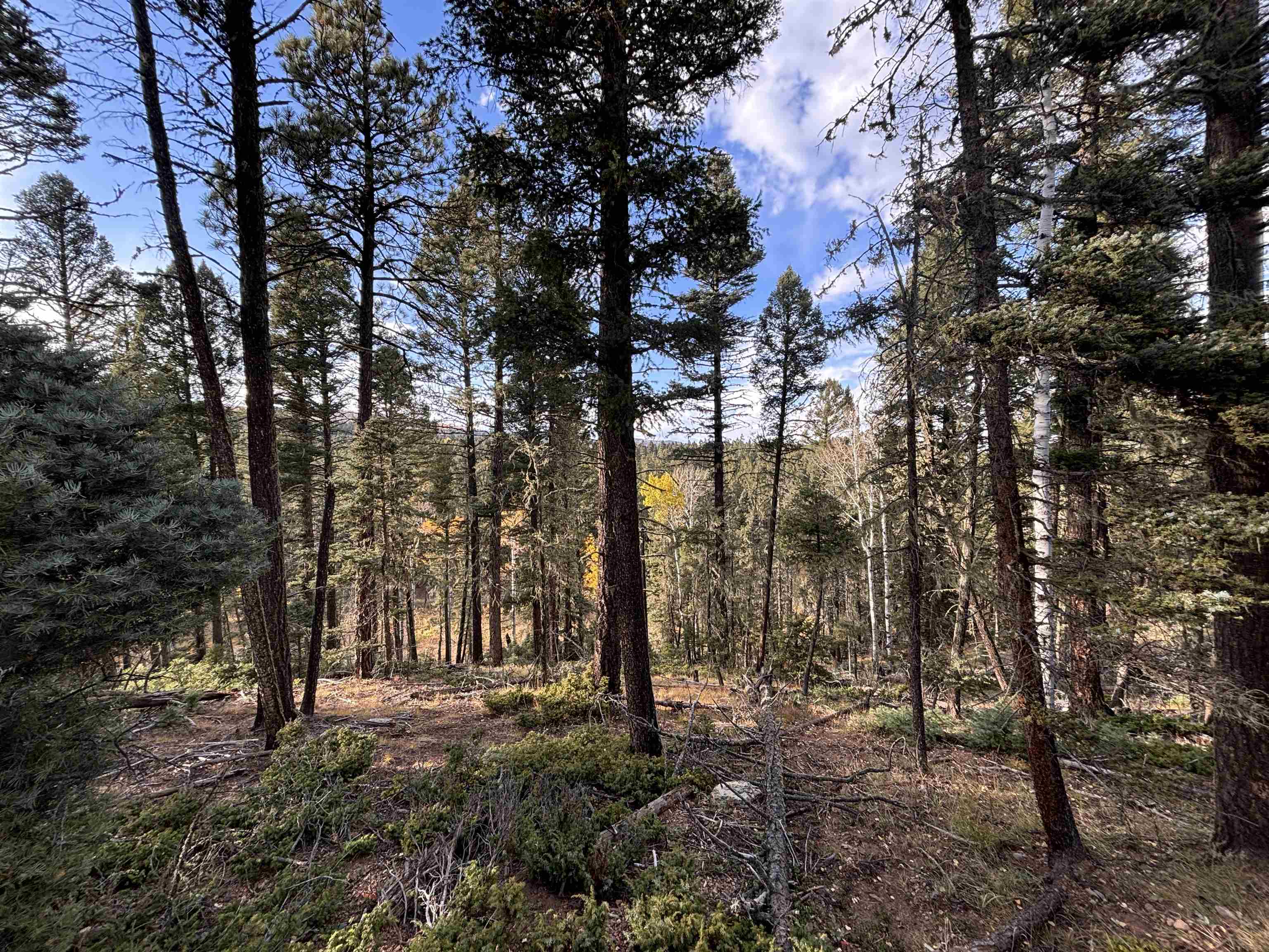 Lot 11 Lakewood Way, Angel Fire, New Mexico image 4