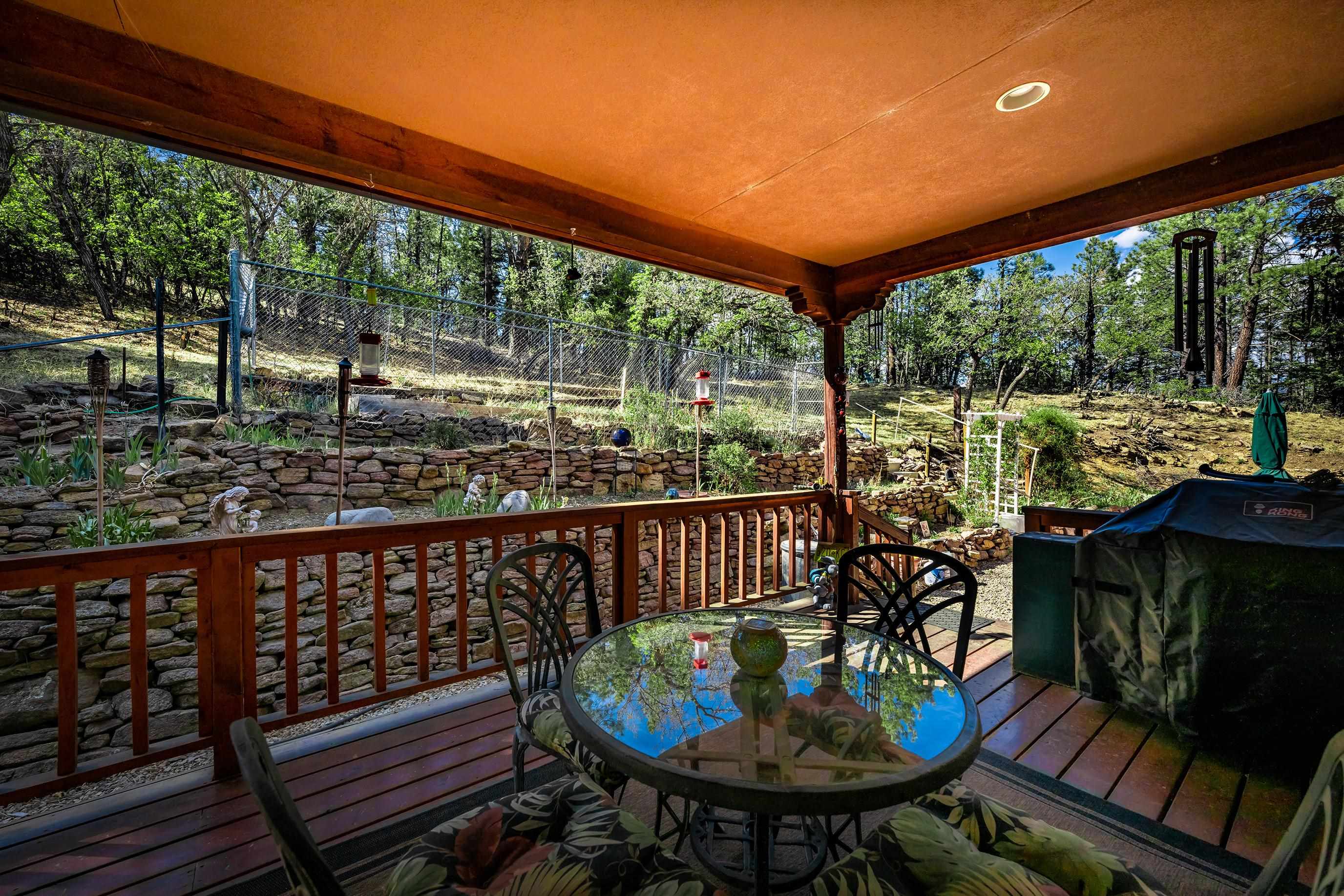 39 Martin Luther King Jr Blvd, Angel Fire, New Mexico image 46