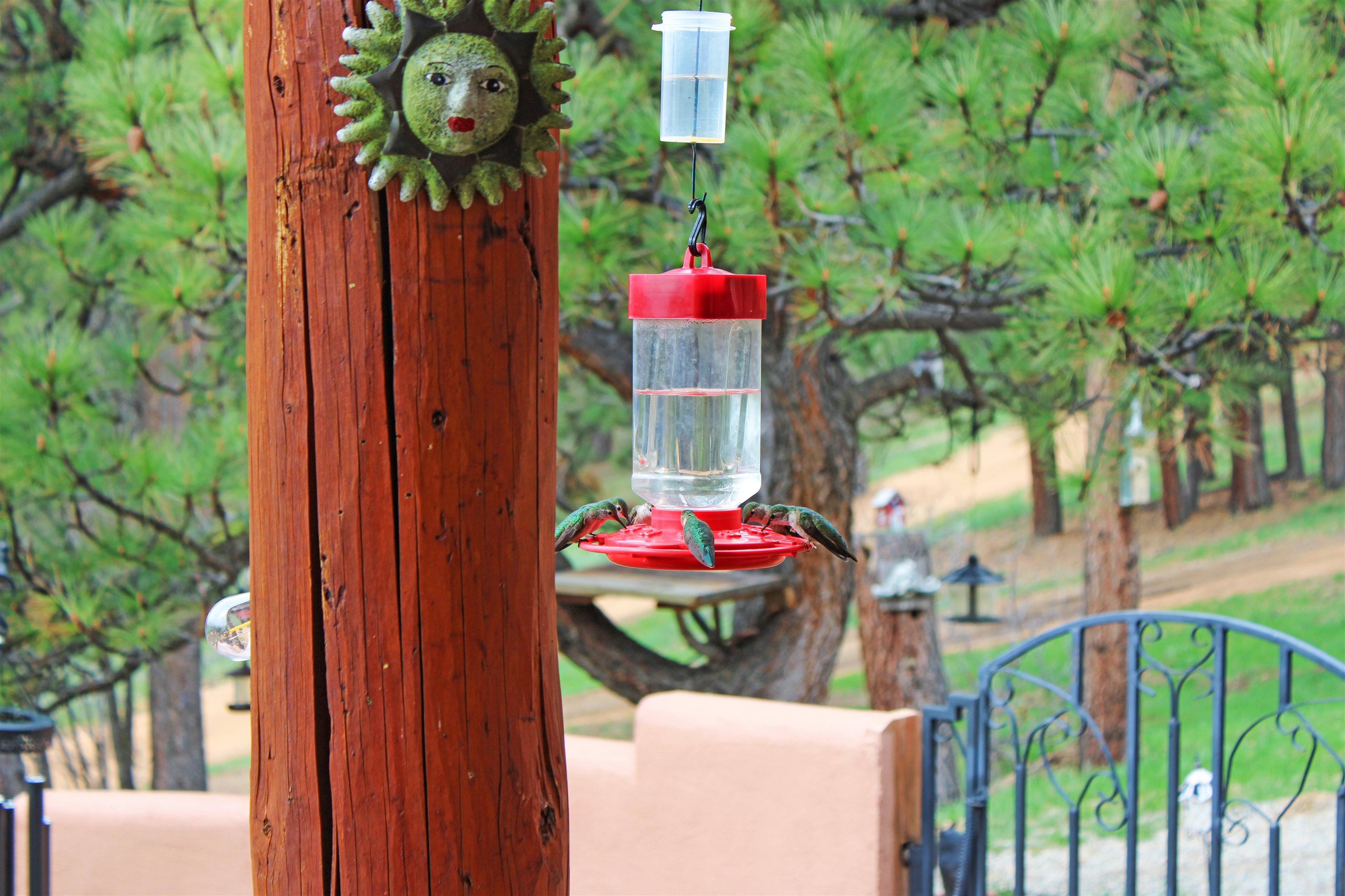 39 Martin Luther King Jr Blvd, Angel Fire, New Mexico image 5