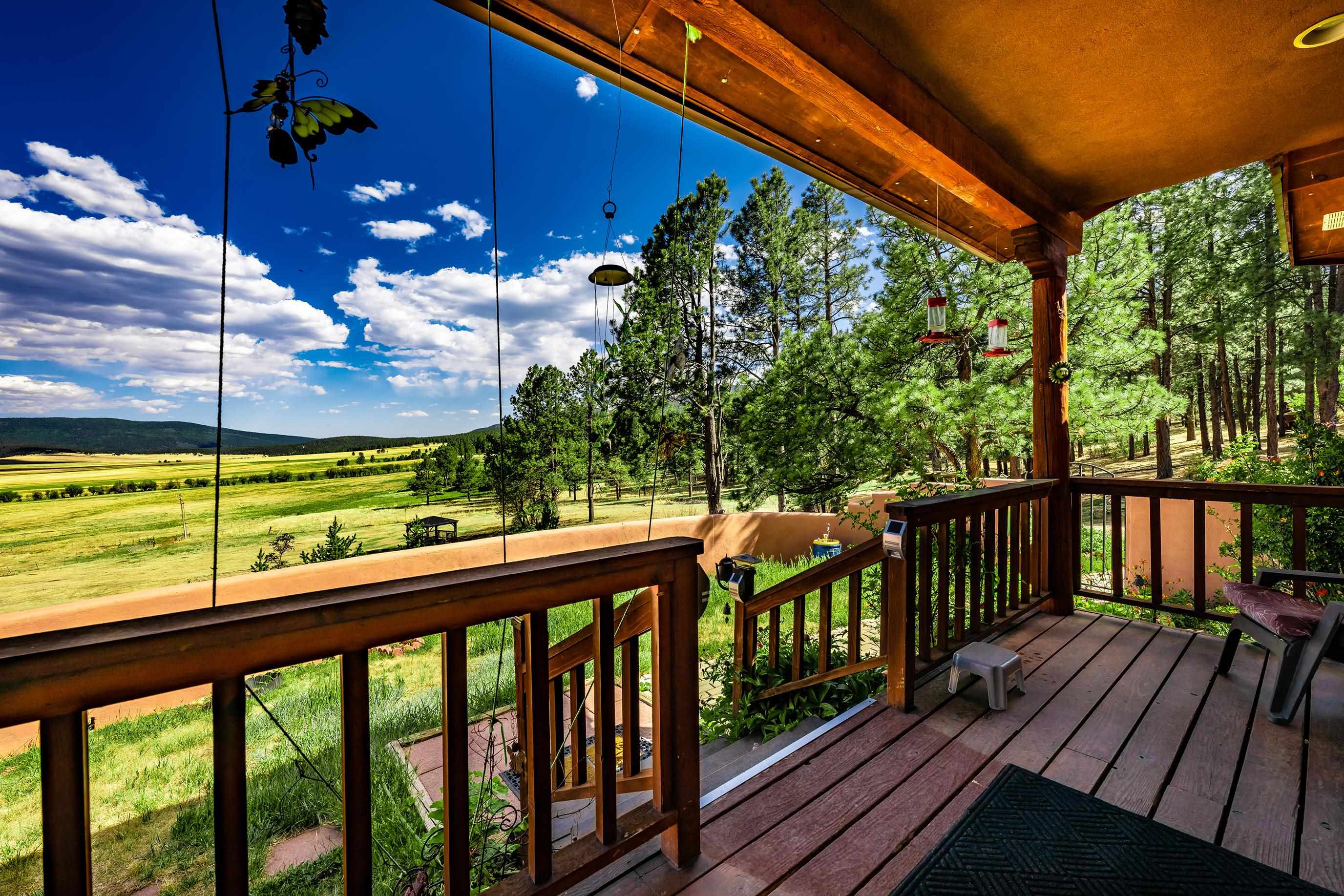39 Martin Luther King Jr Blvd, Angel Fire, New Mexico image 41