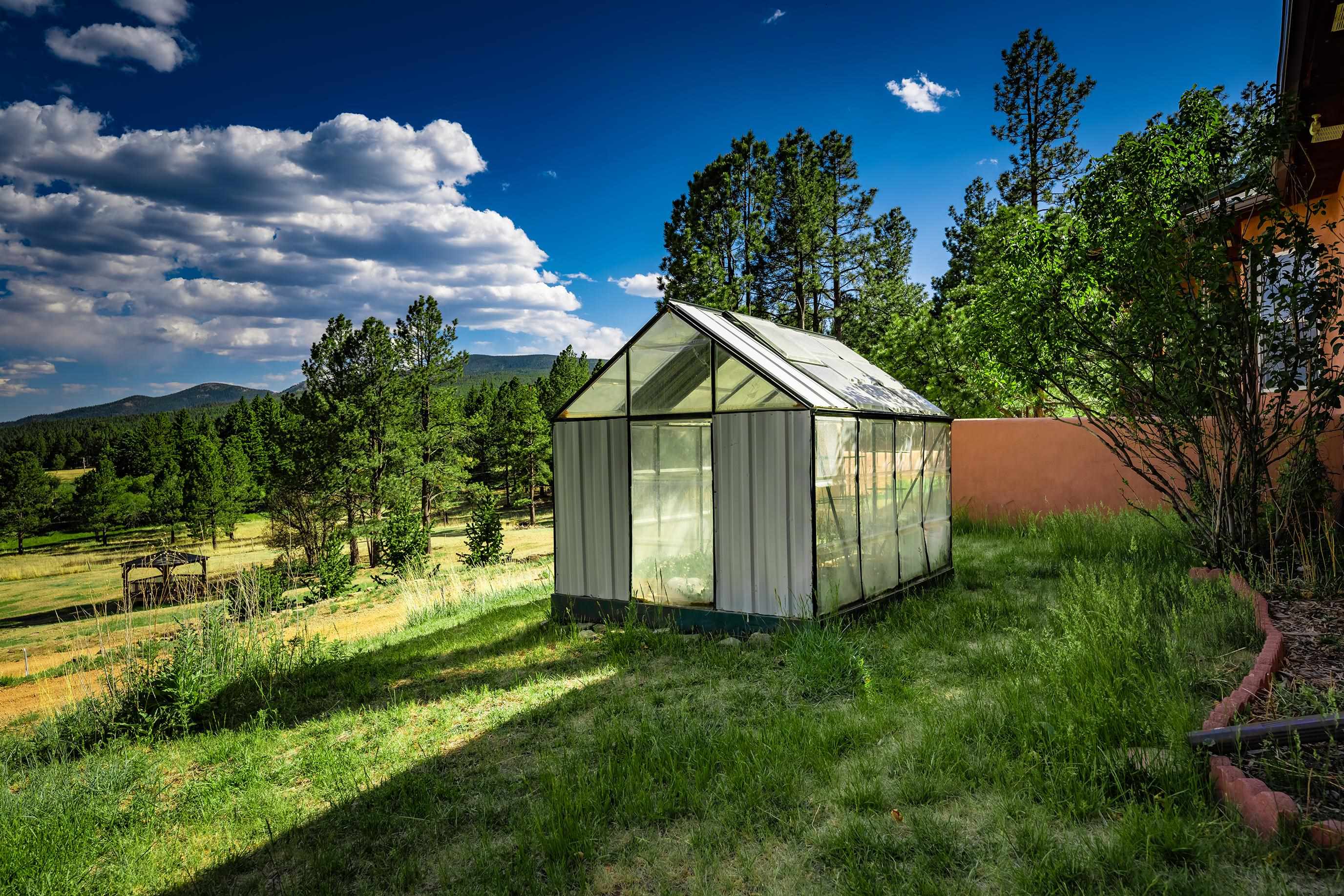 39 Martin Luther King Jr Blvd, Angel Fire, New Mexico image 47