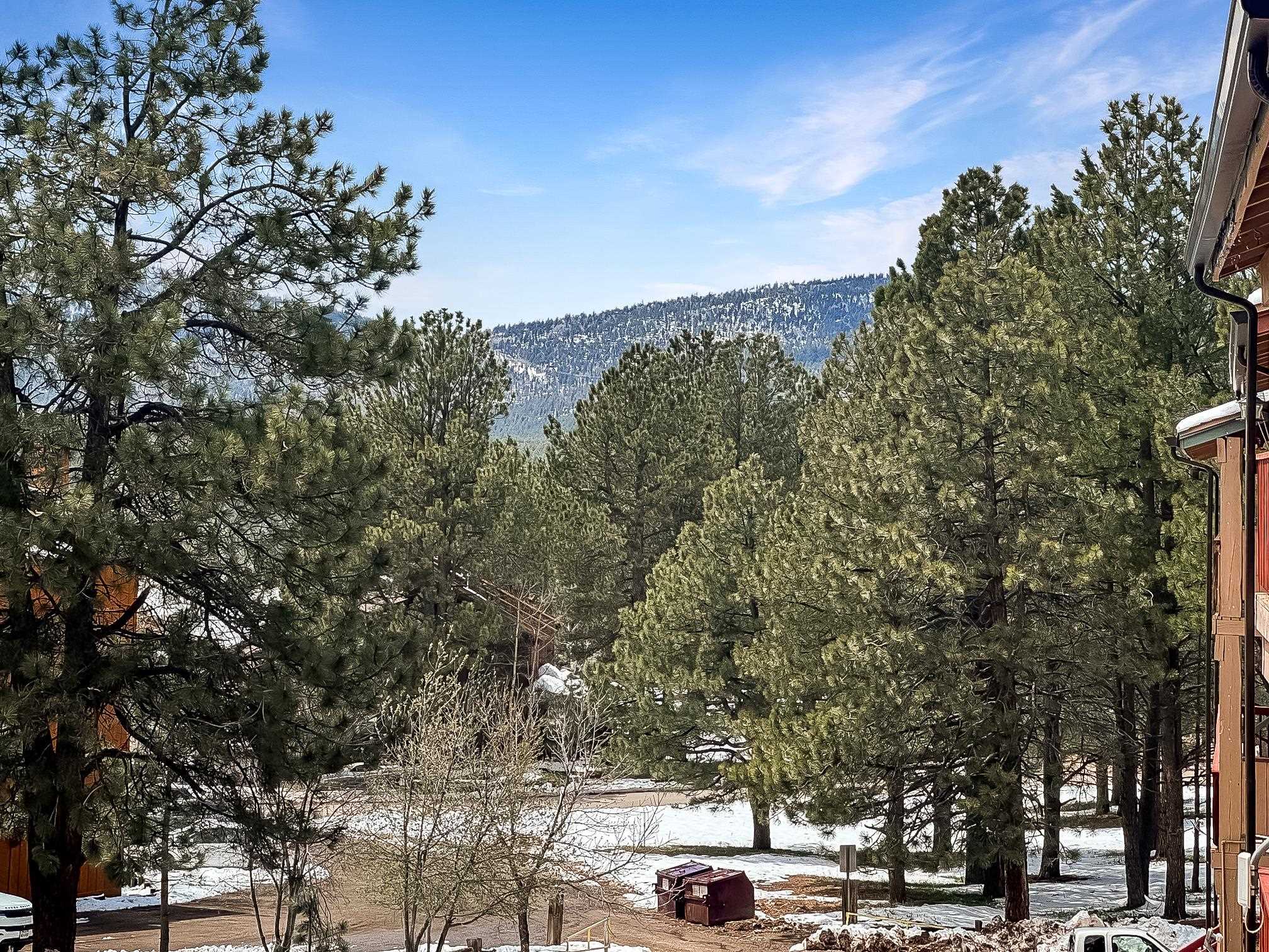 25 Jackson Hole #241, Angel Fire, New Mexico image 18