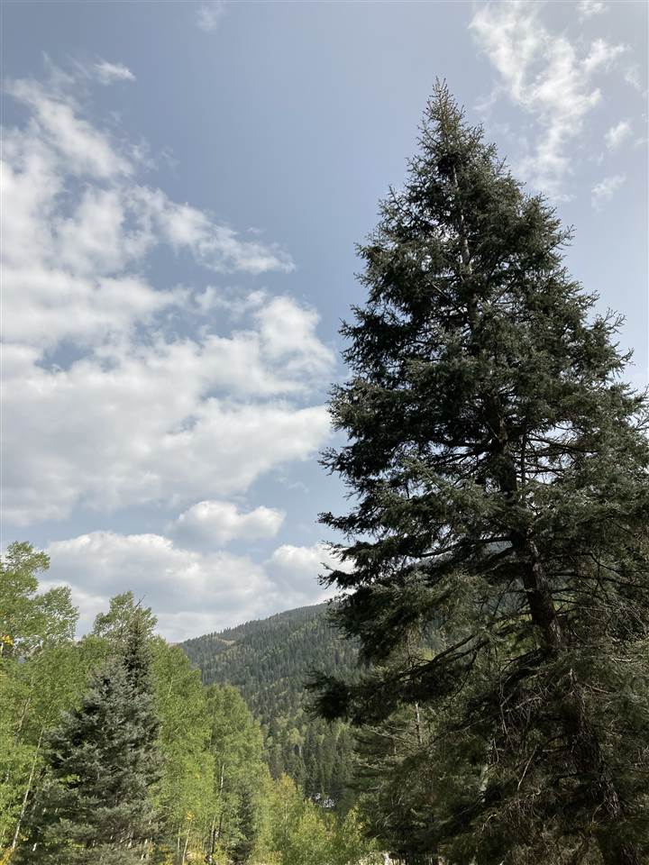 1318 And 1320 State Hwy 150, Taos Ski Valley, New Mexico image 16
