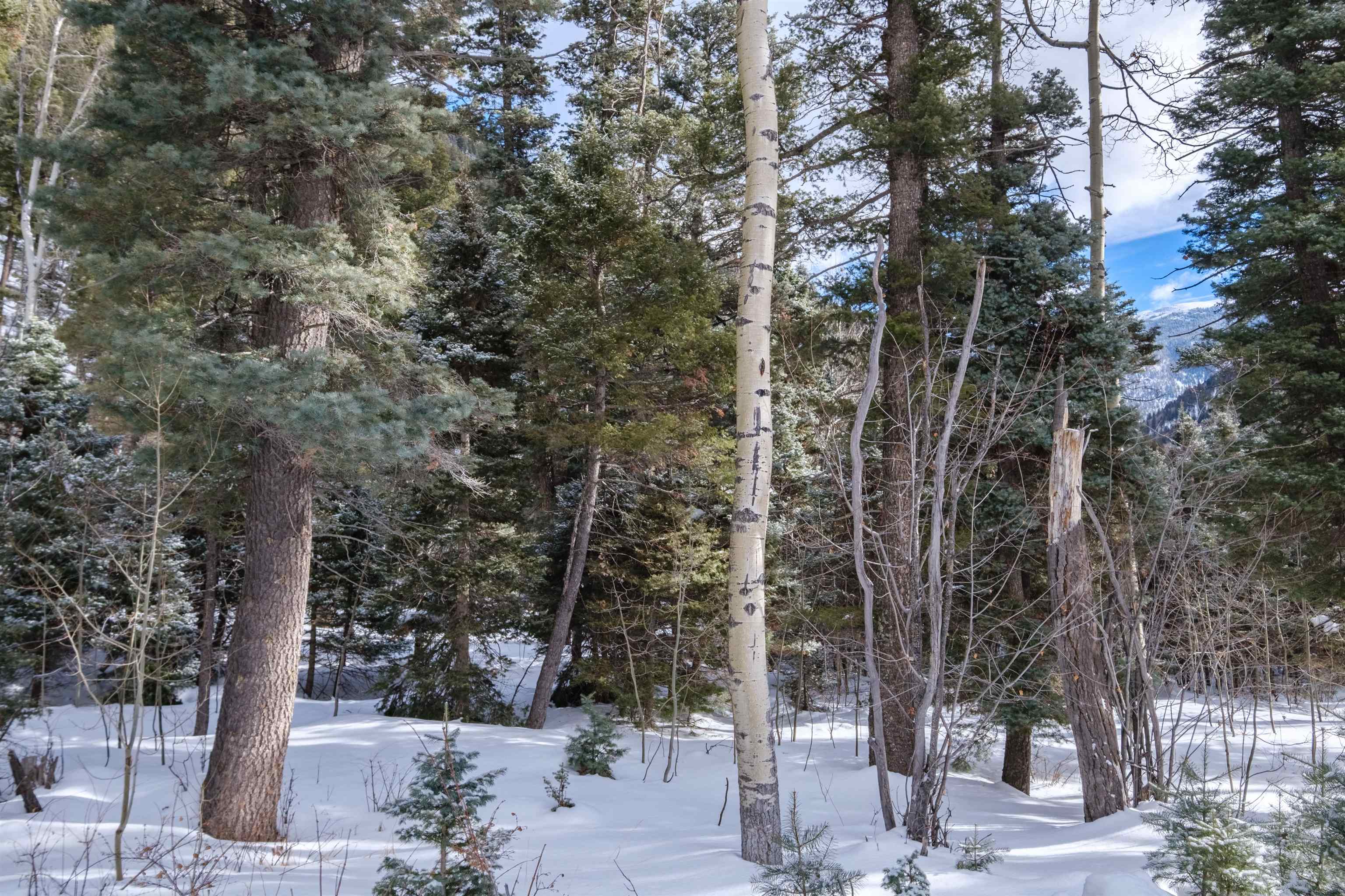 1318 And 1320 State Hwy 150, Taos Ski Valley, New Mexico image 13