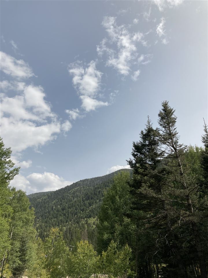 1318 And 1320 State Hwy 150, Taos Ski Valley, New Mexico image 3