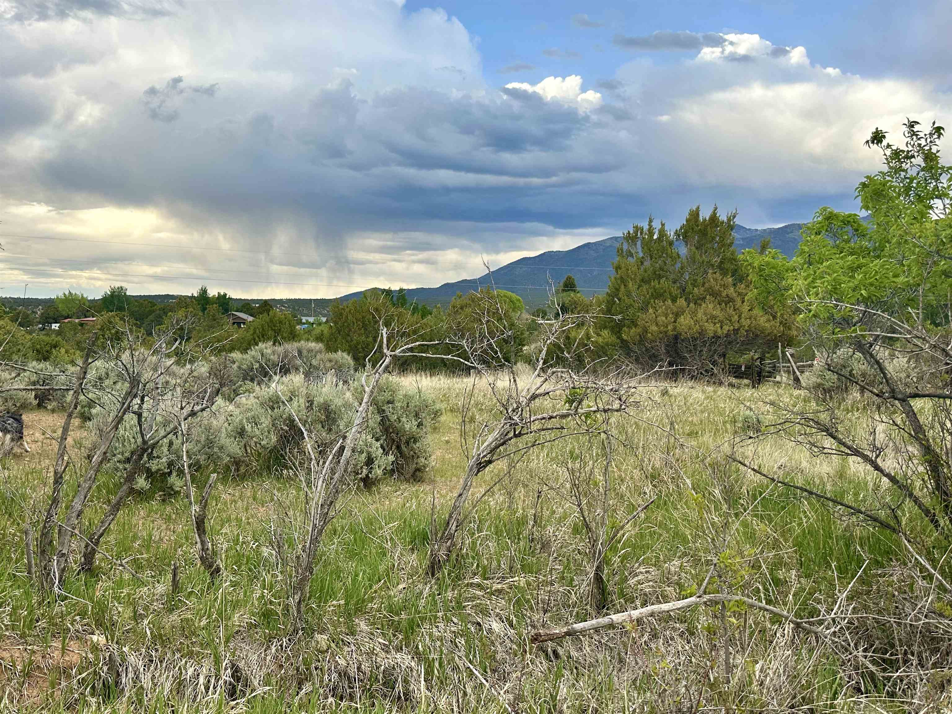 Off Vista Lejos, Arroyo Seco, New Mexico image 9