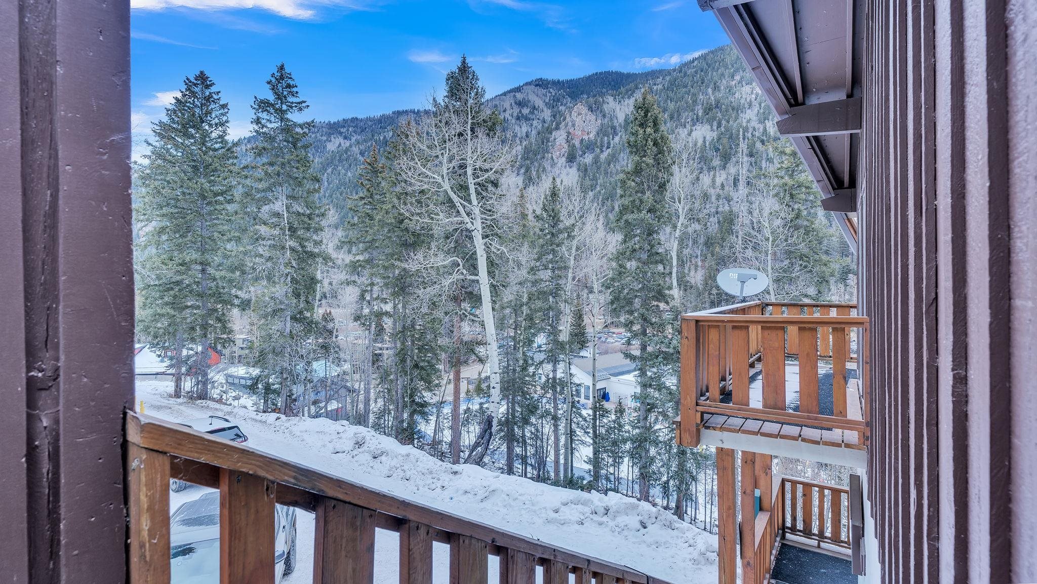 35 Firehouse Road #25, Taos Ski Valley, New Mexico image 13
