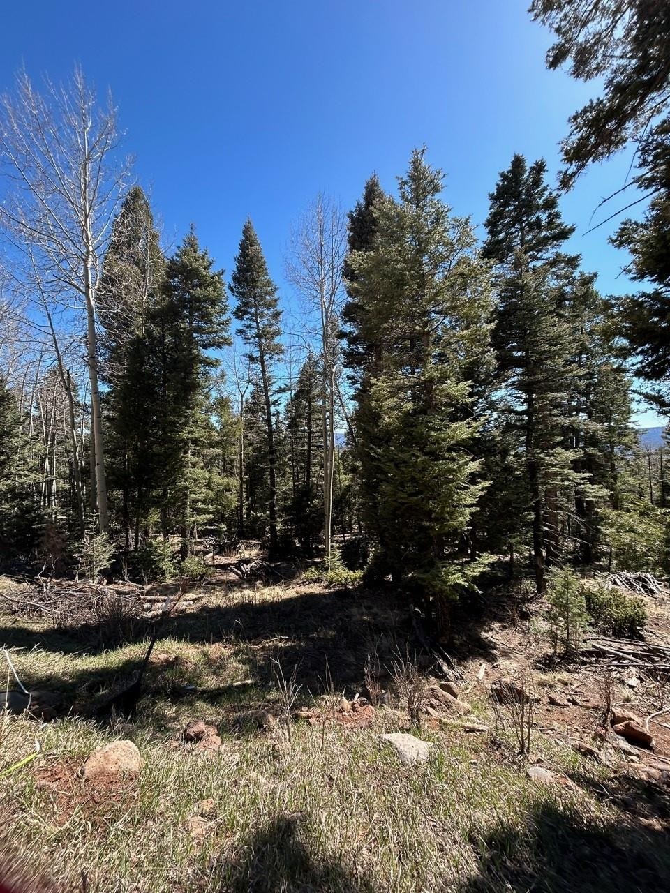 Lot 1567 Cascade Overlook, Angel Fire, New Mexico image 2