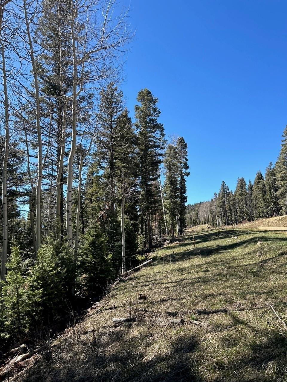 Lot 1567 Cascade Overlook, Angel Fire, New Mexico image 3